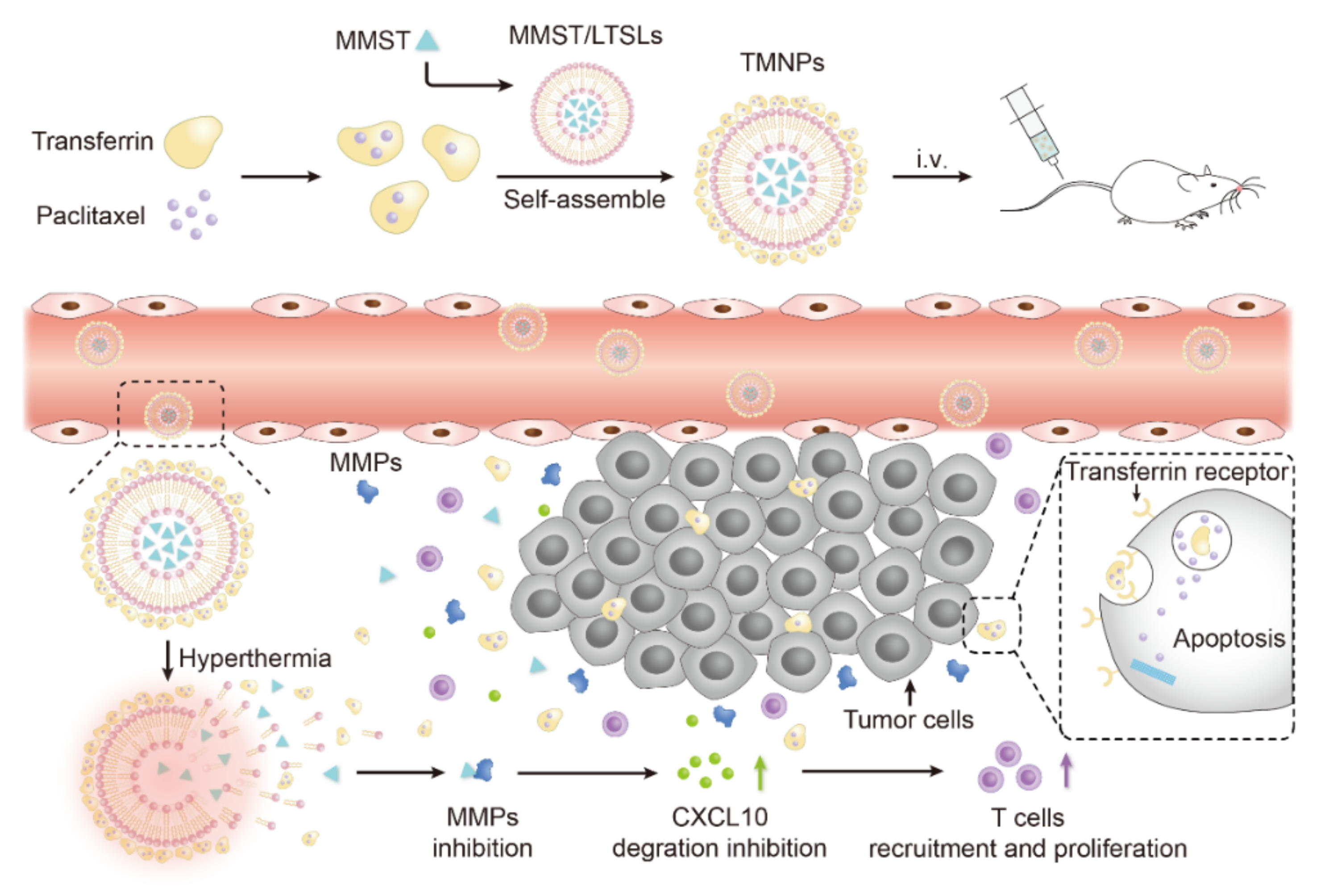 Pharmaceutics 13 01990 g001 Pharmaceutics 13 01990 g001