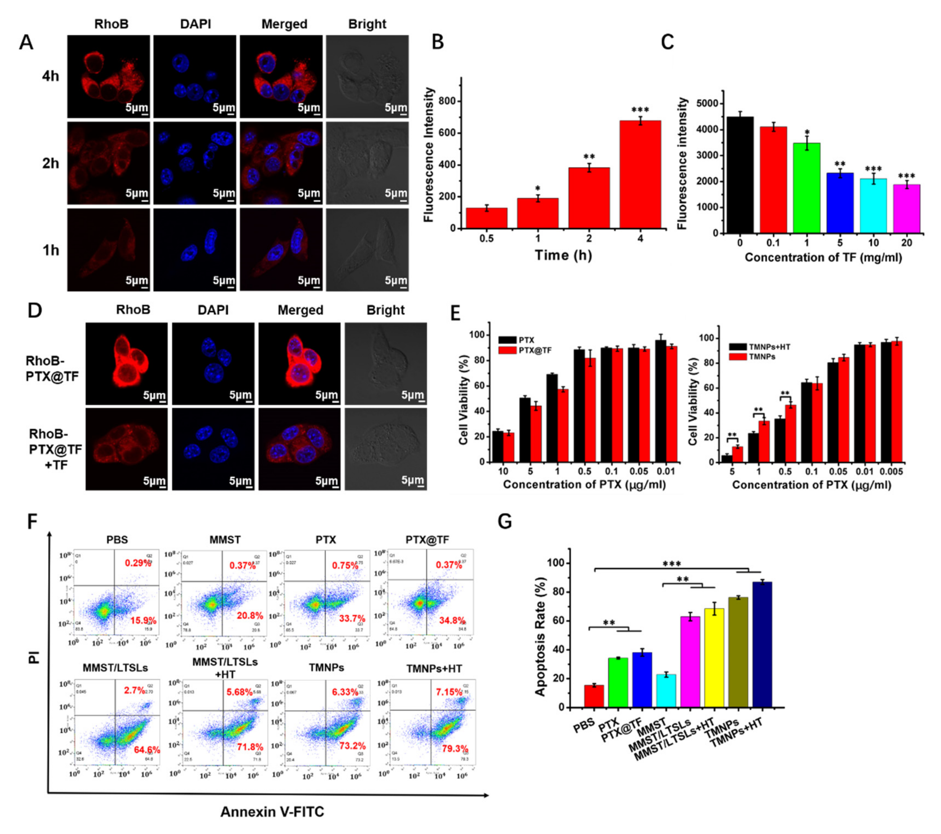 Pharmaceutics 13 01990 g003 Pharmaceutics 13 01990 g003