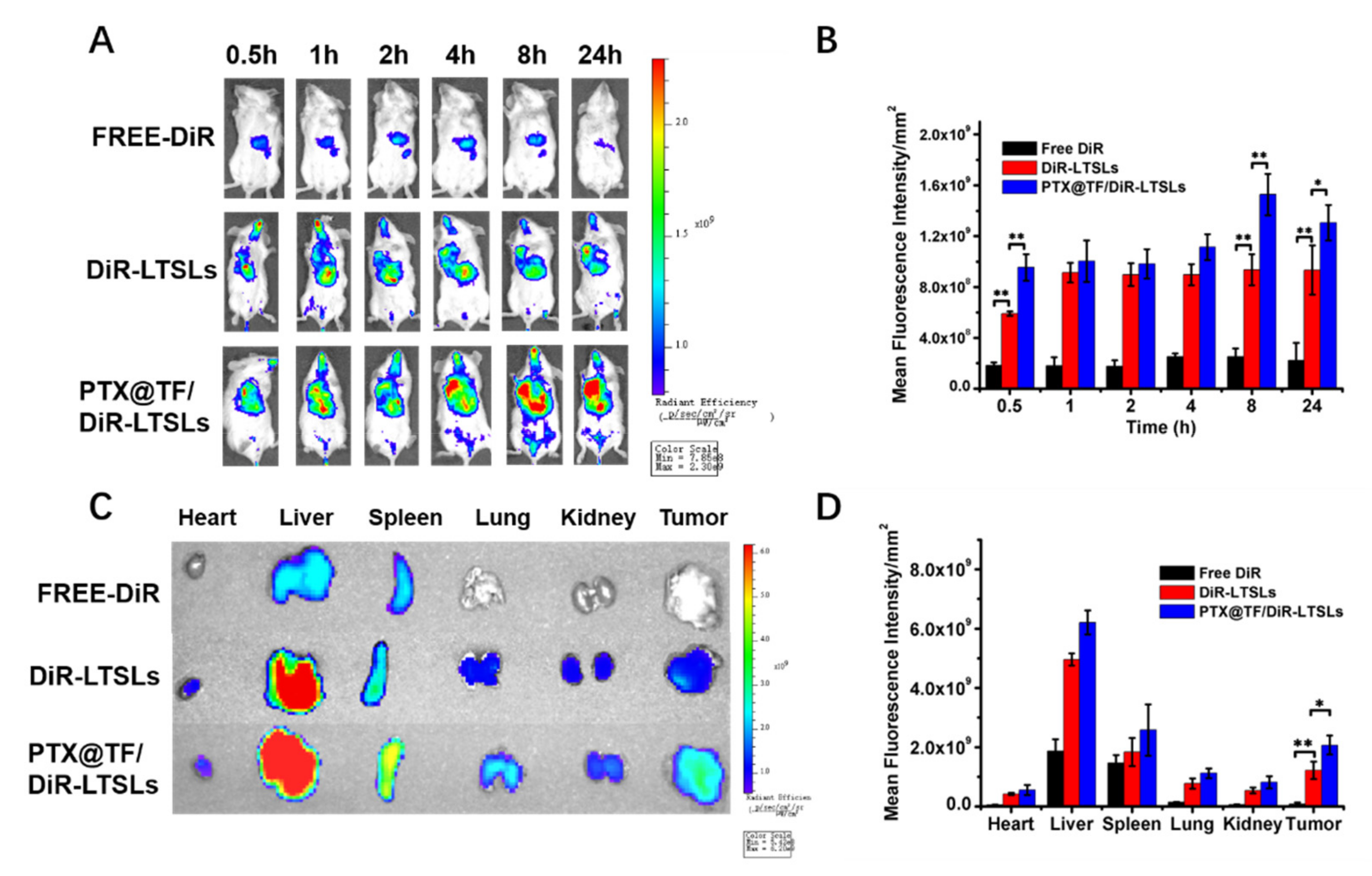 Pharmaceutics 13 01990 g004 Pharmaceutics 13 01990 g004
