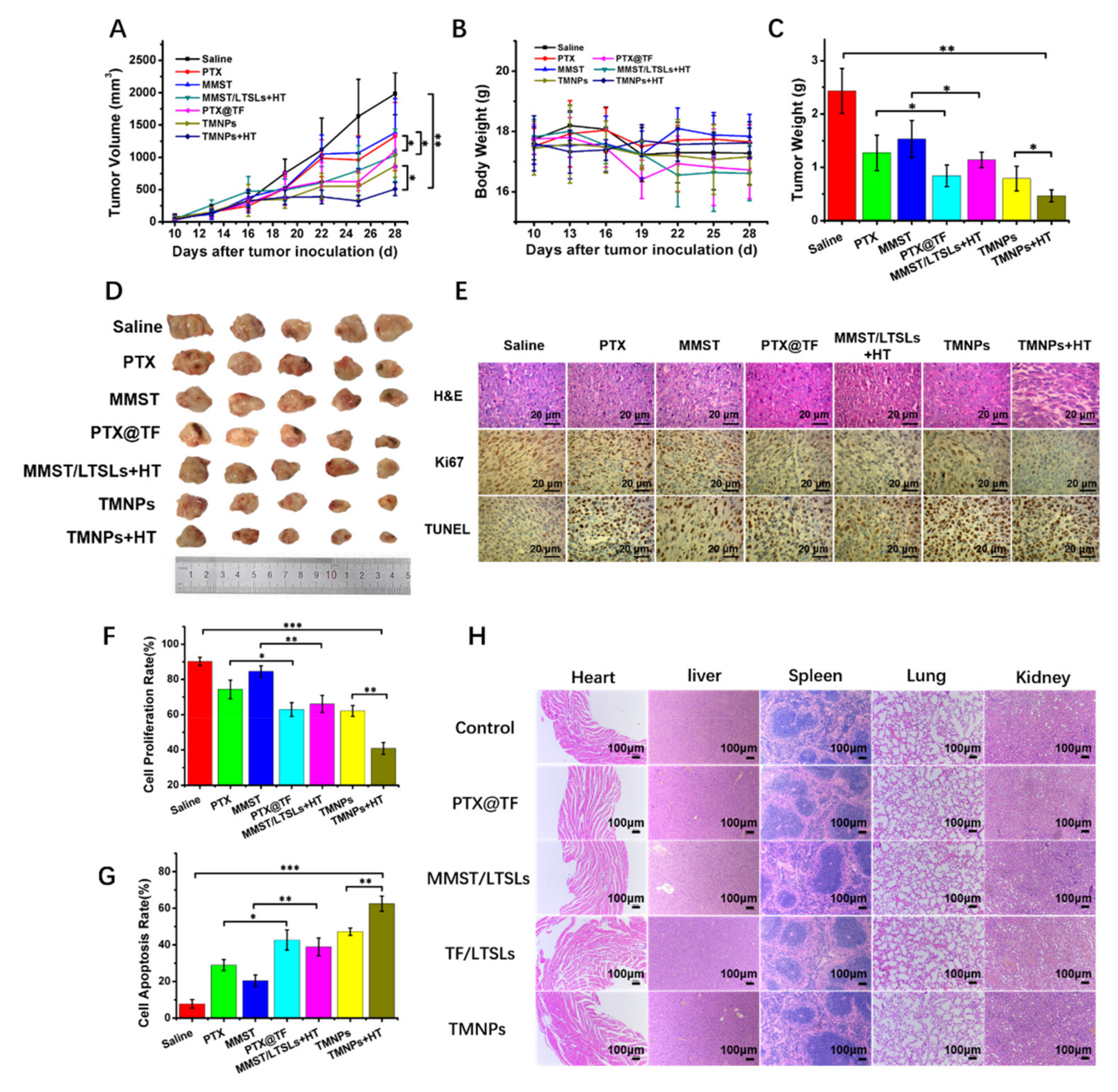 Pharmaceutics 13 01990 g007 Pharmaceutics 13 01990 g007