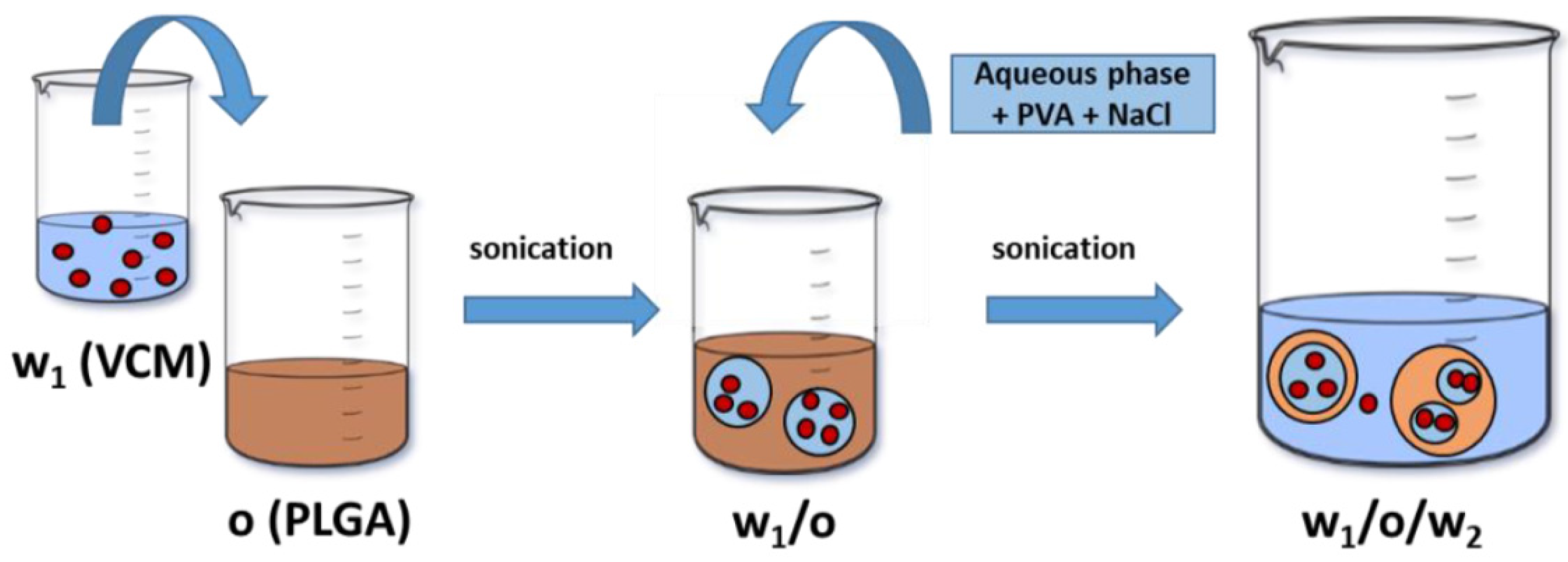 Pharmaceutics 13 01992 g001