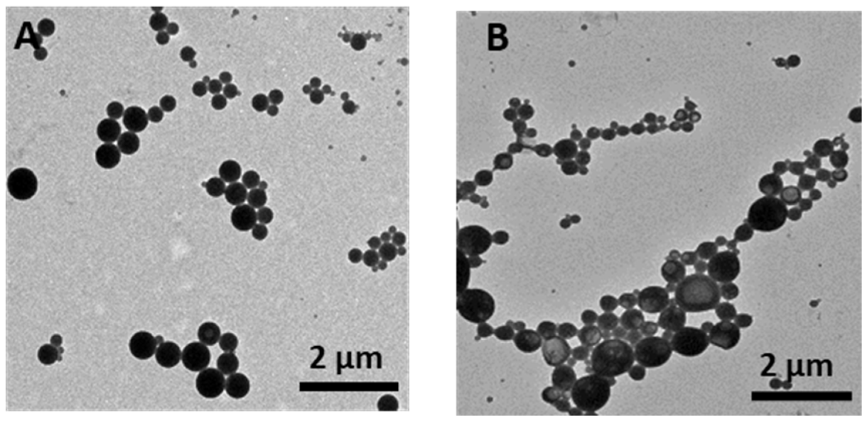Pharmaceutics 13 01992 g002