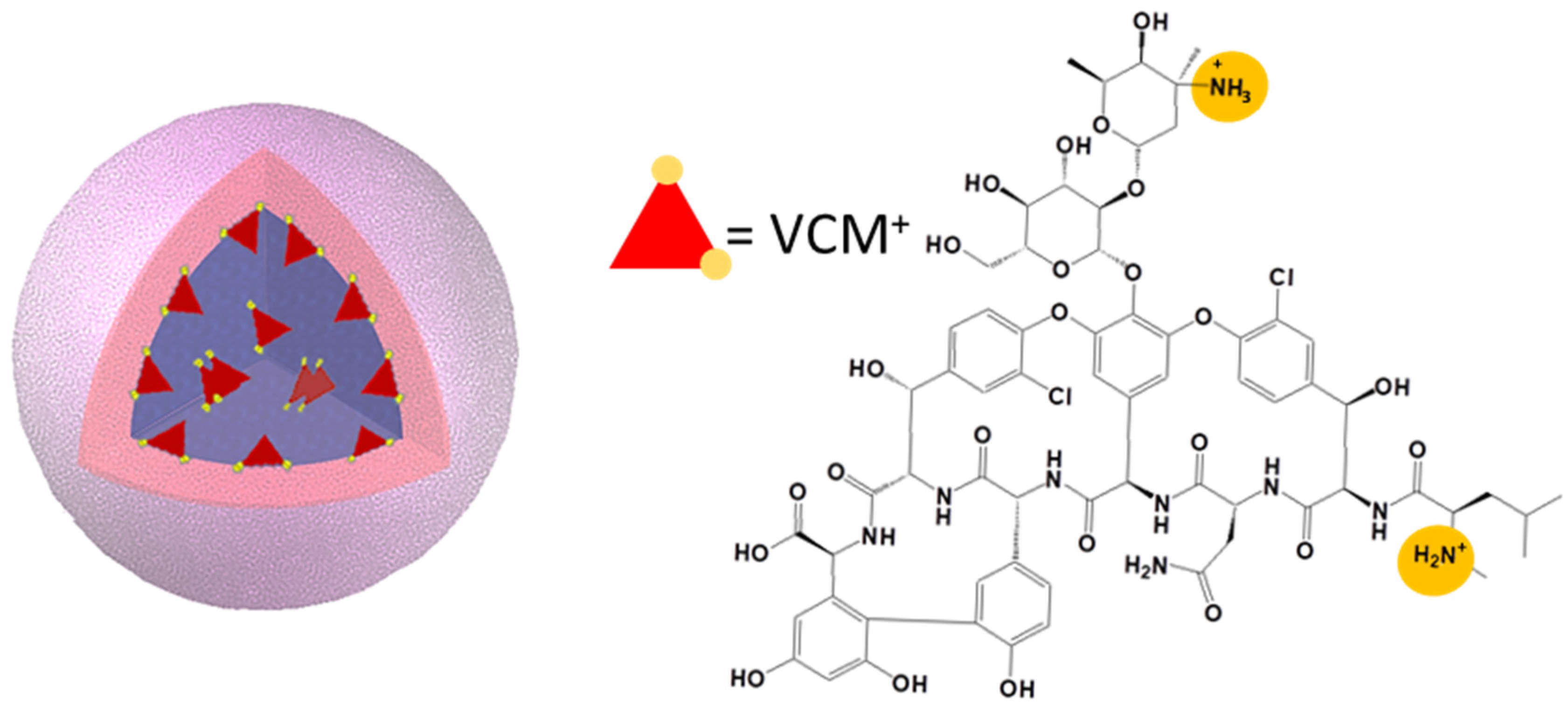 Pharmaceutics 13 01992 g003