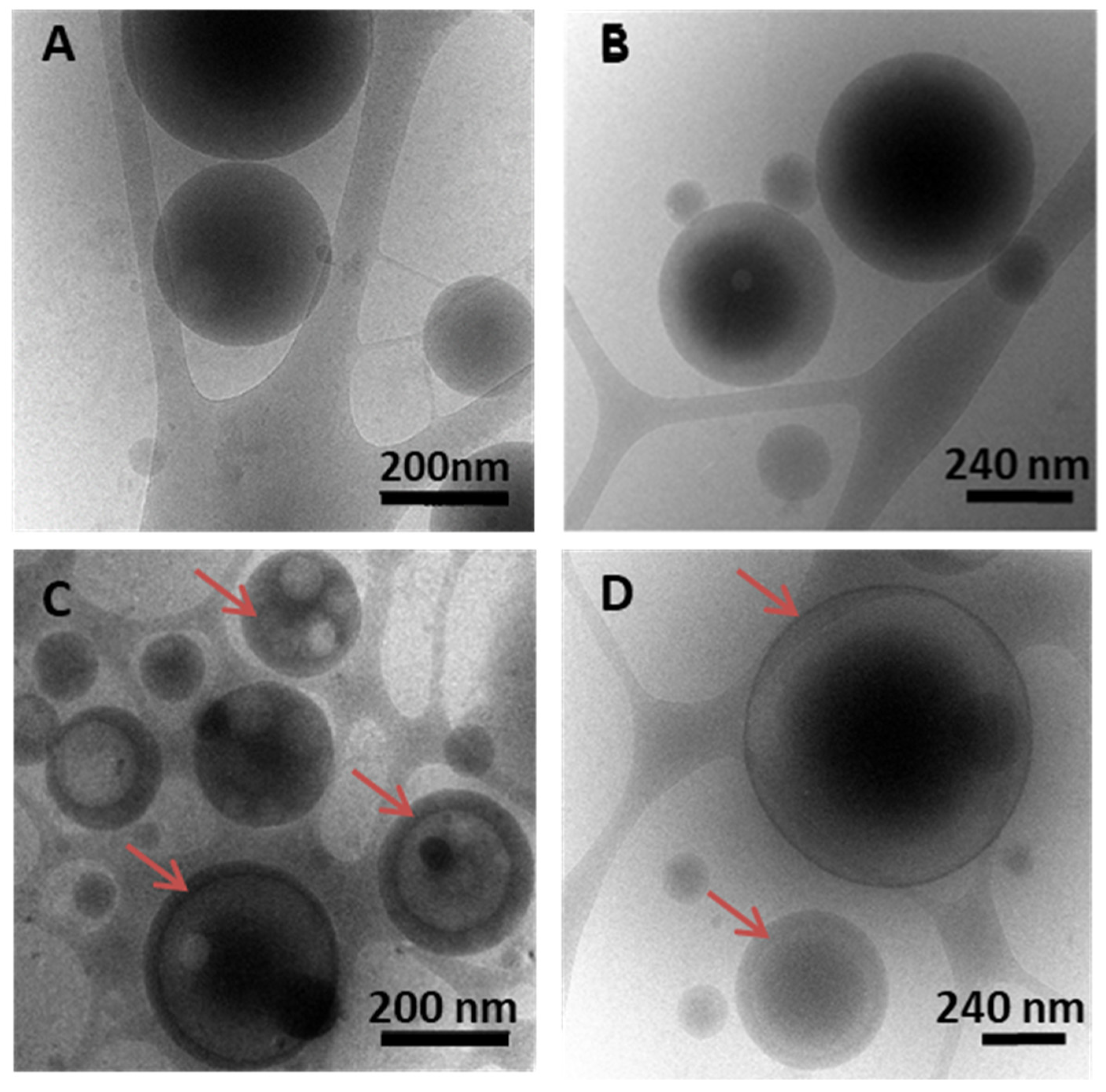 Pharmaceutics 13 01992 g006