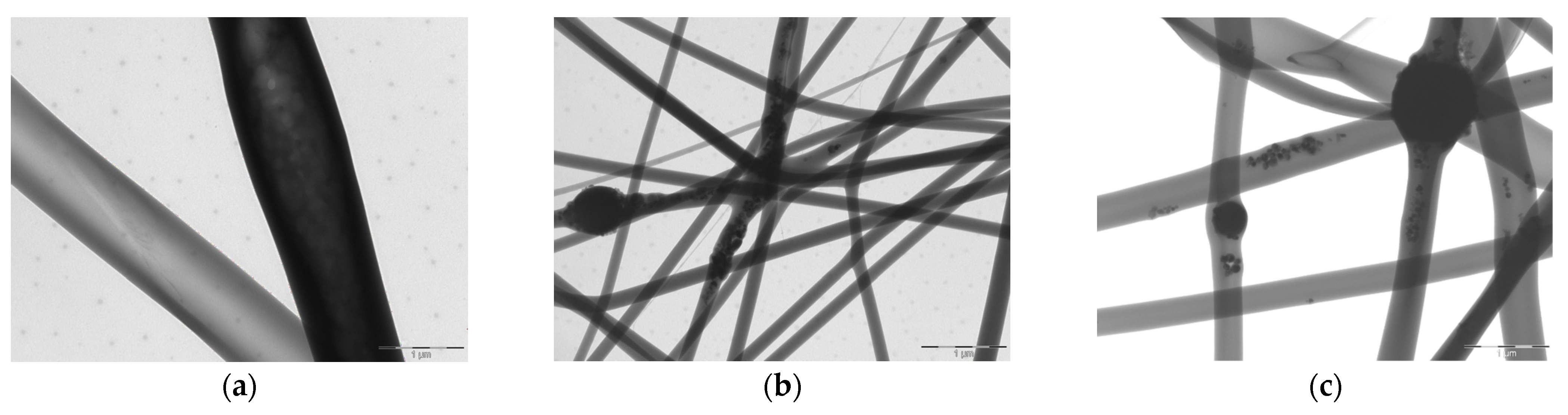 Pharmaceutics 13 01996 g001