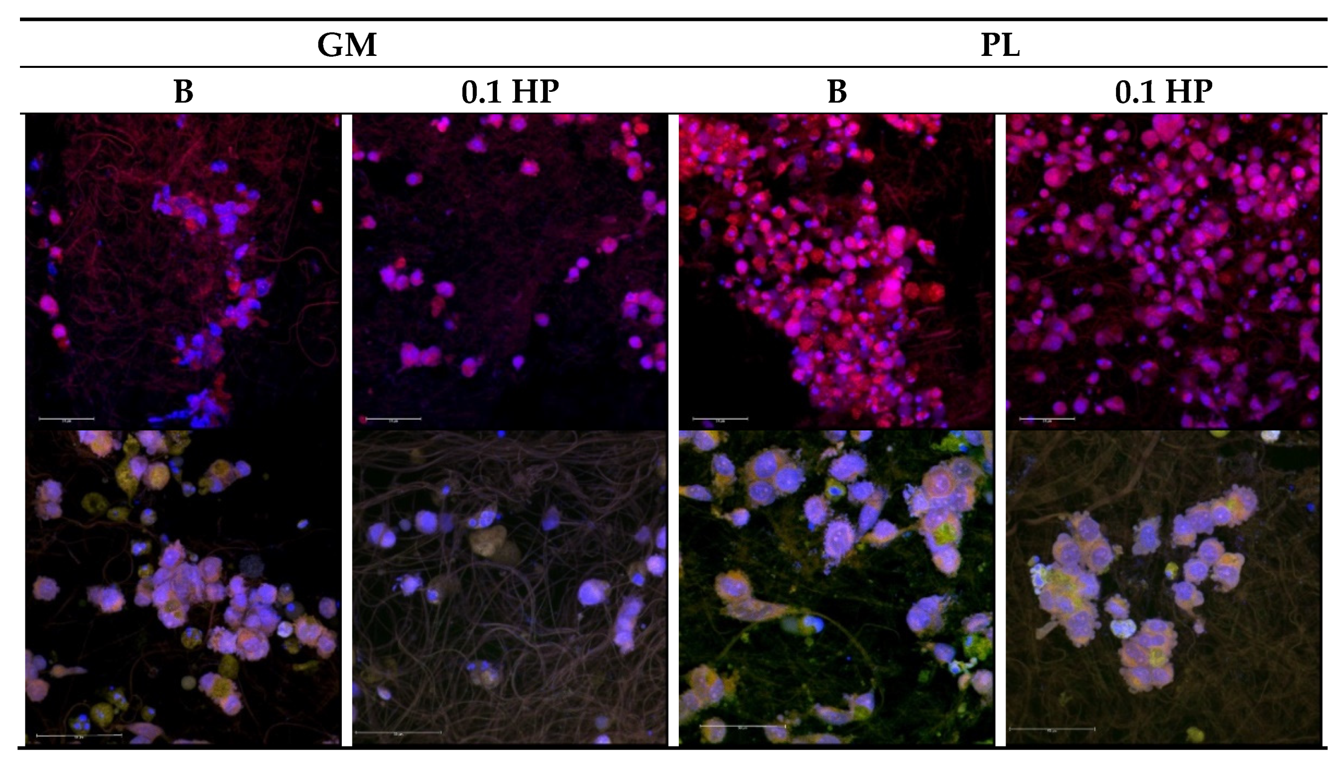 Pharmaceutics 13 01996 g012