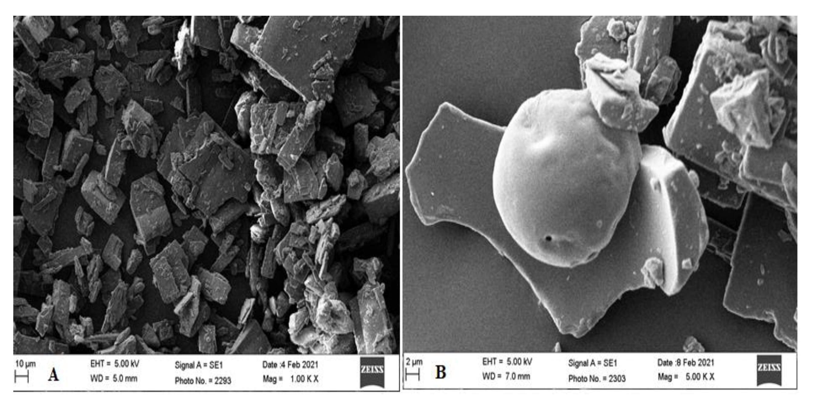 Pharmaceutics 13 01997 g009