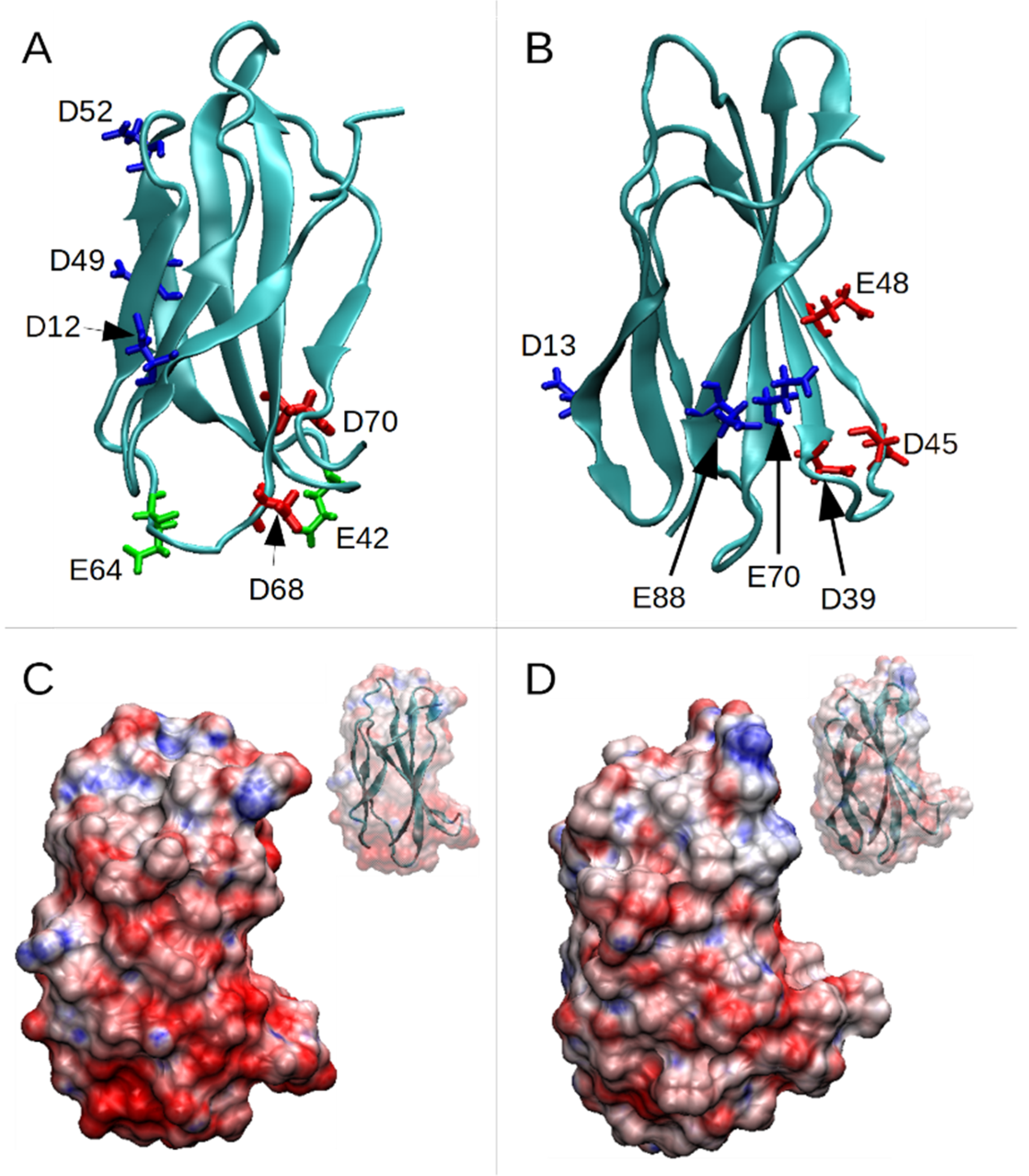 Pharmaceutics 13 01998 g001 550