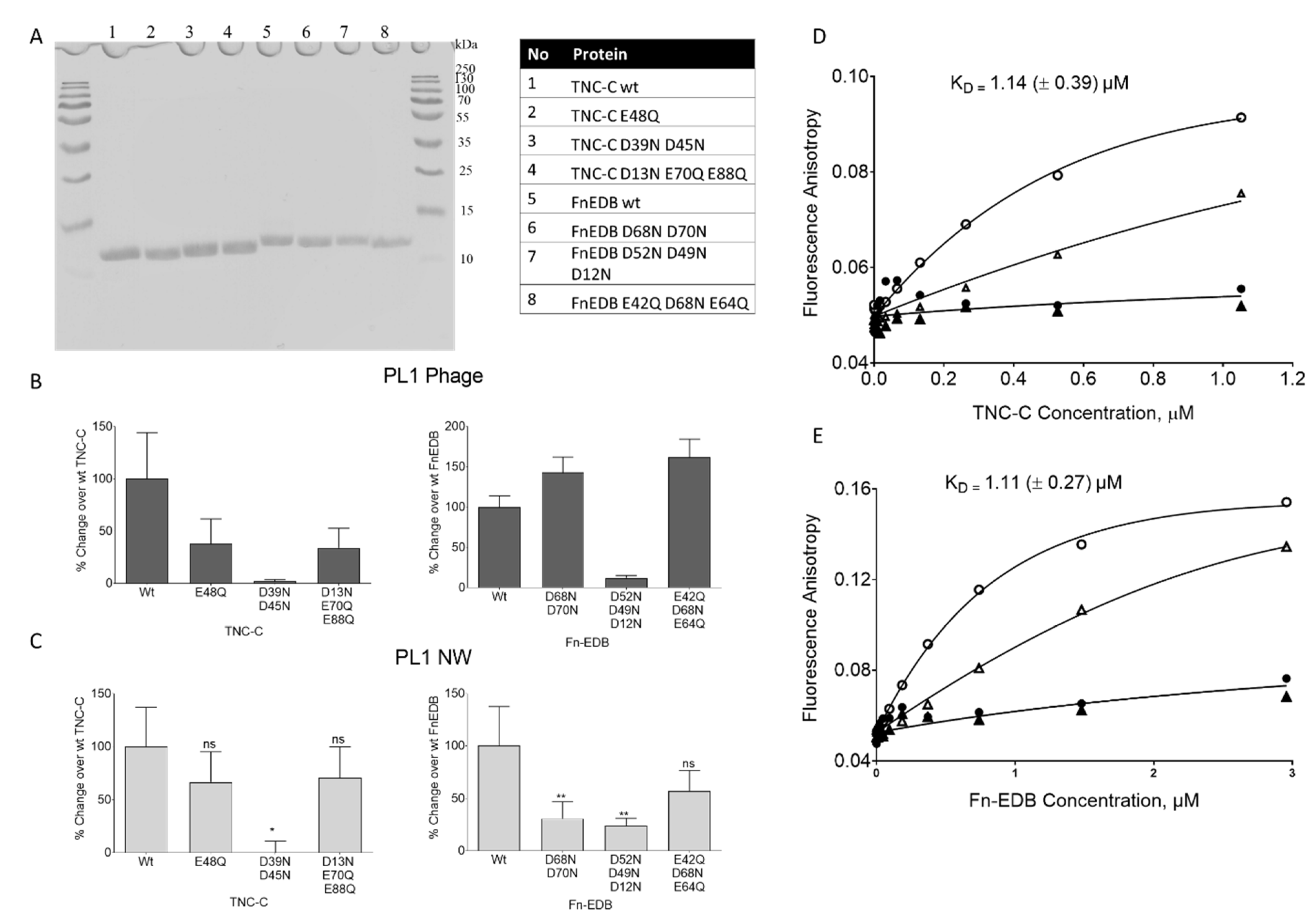Pharmaceutics 13 01998 g003 550