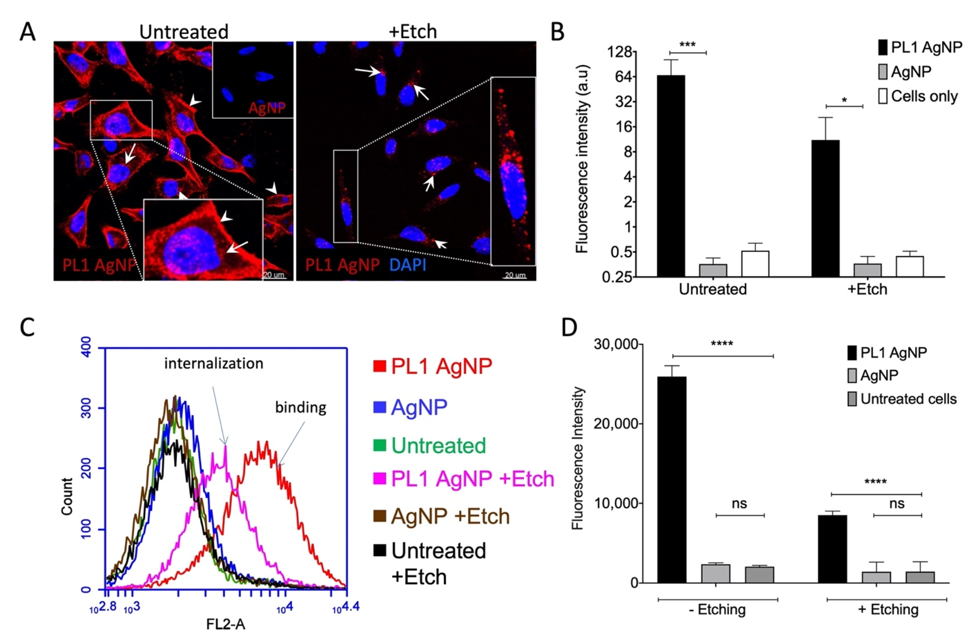 Pharmaceutics 13 01998 g004 550