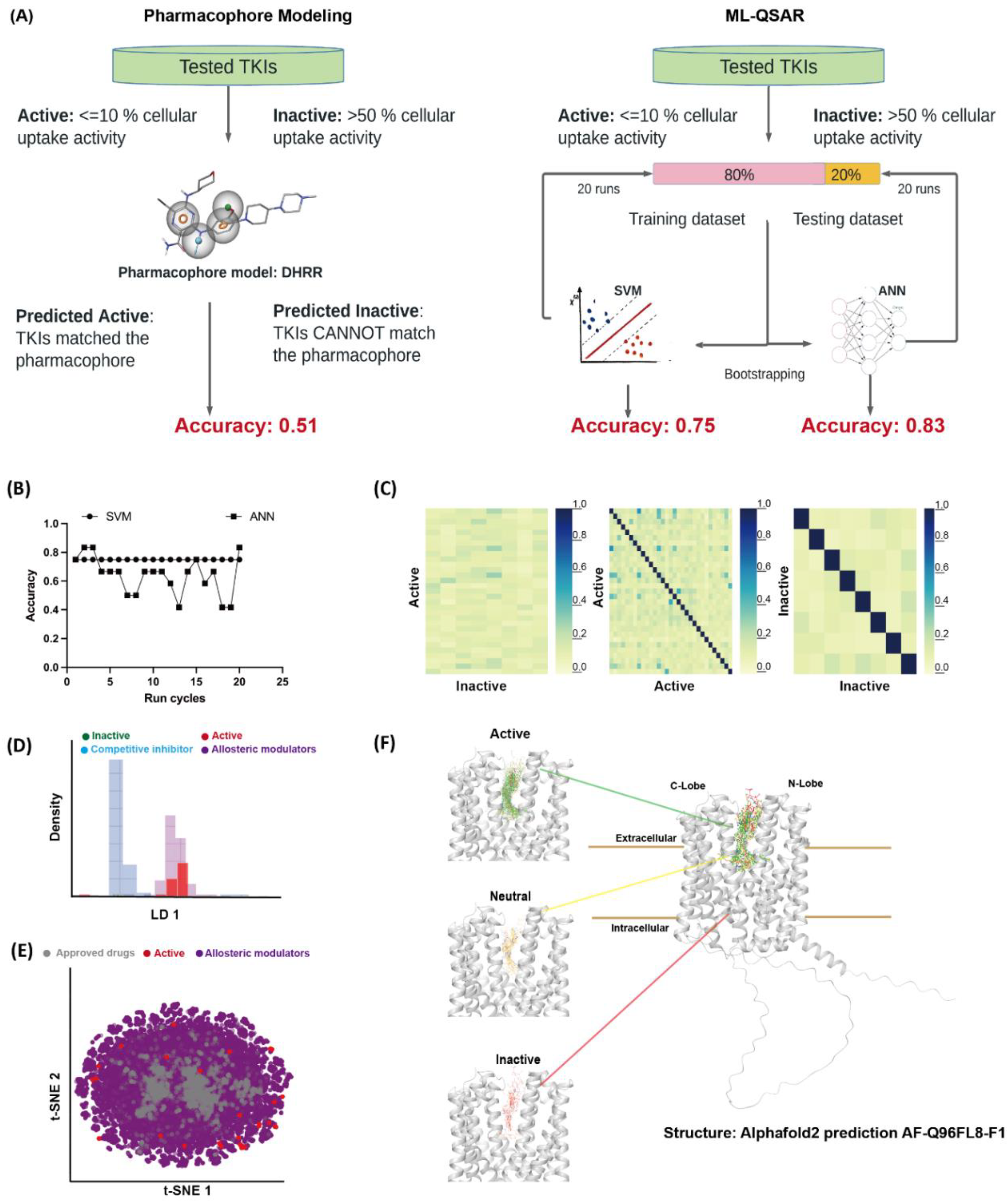 Pharmaceutics 13 02004 g002