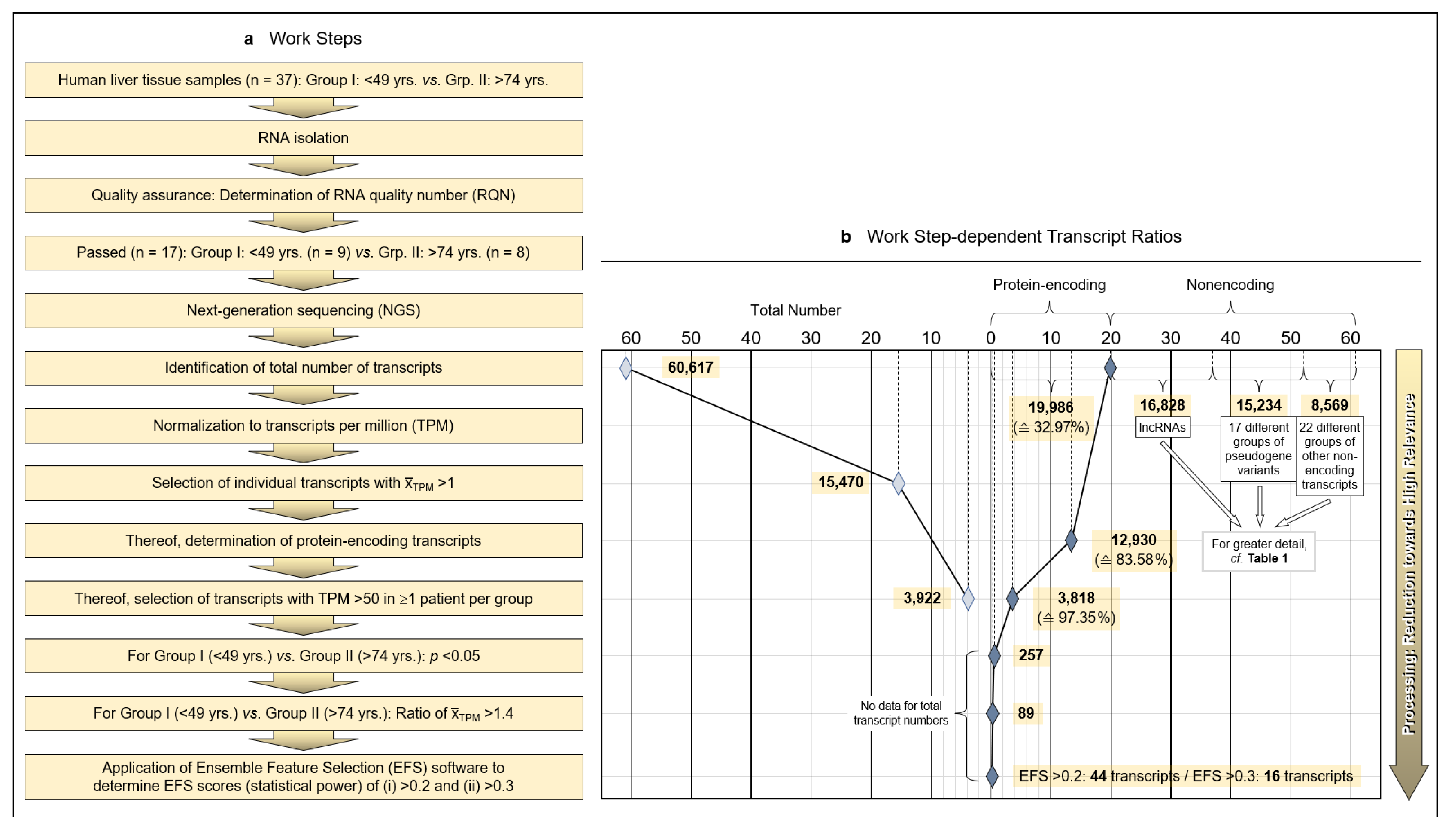 Pharmaceutics 13 02009 g001a Pharmaceutics 13 02009 g001a