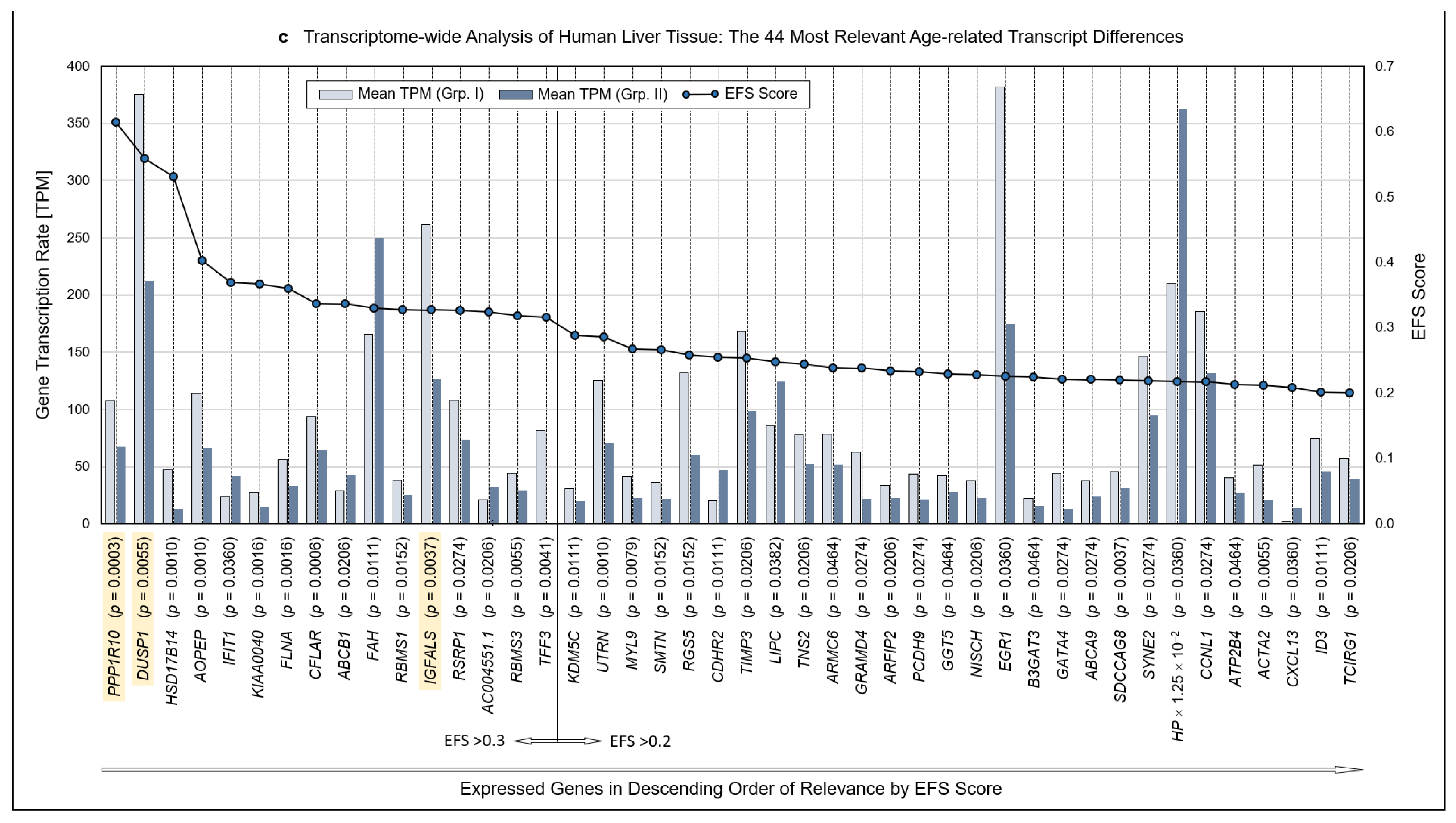 Pharmaceutics 13 02009 g001b Pharmaceutics 13 02009 g001b