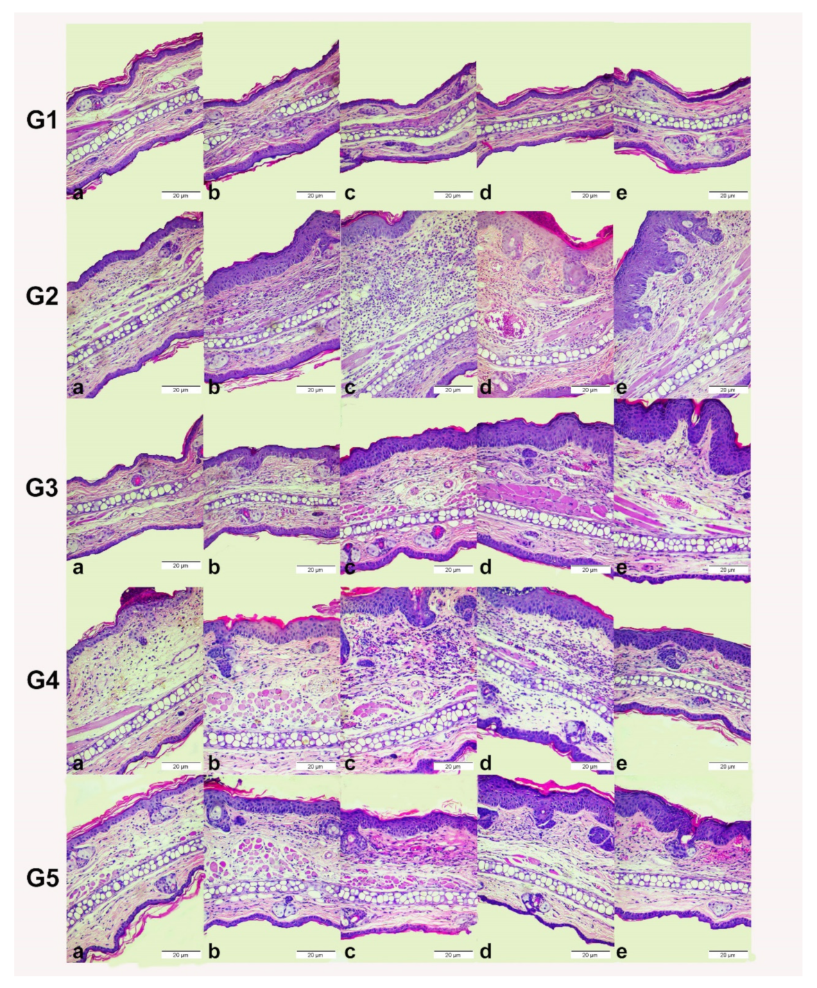 Pharmaceutics 13 02013 g010 Pharmaceutics 13 02013 g010