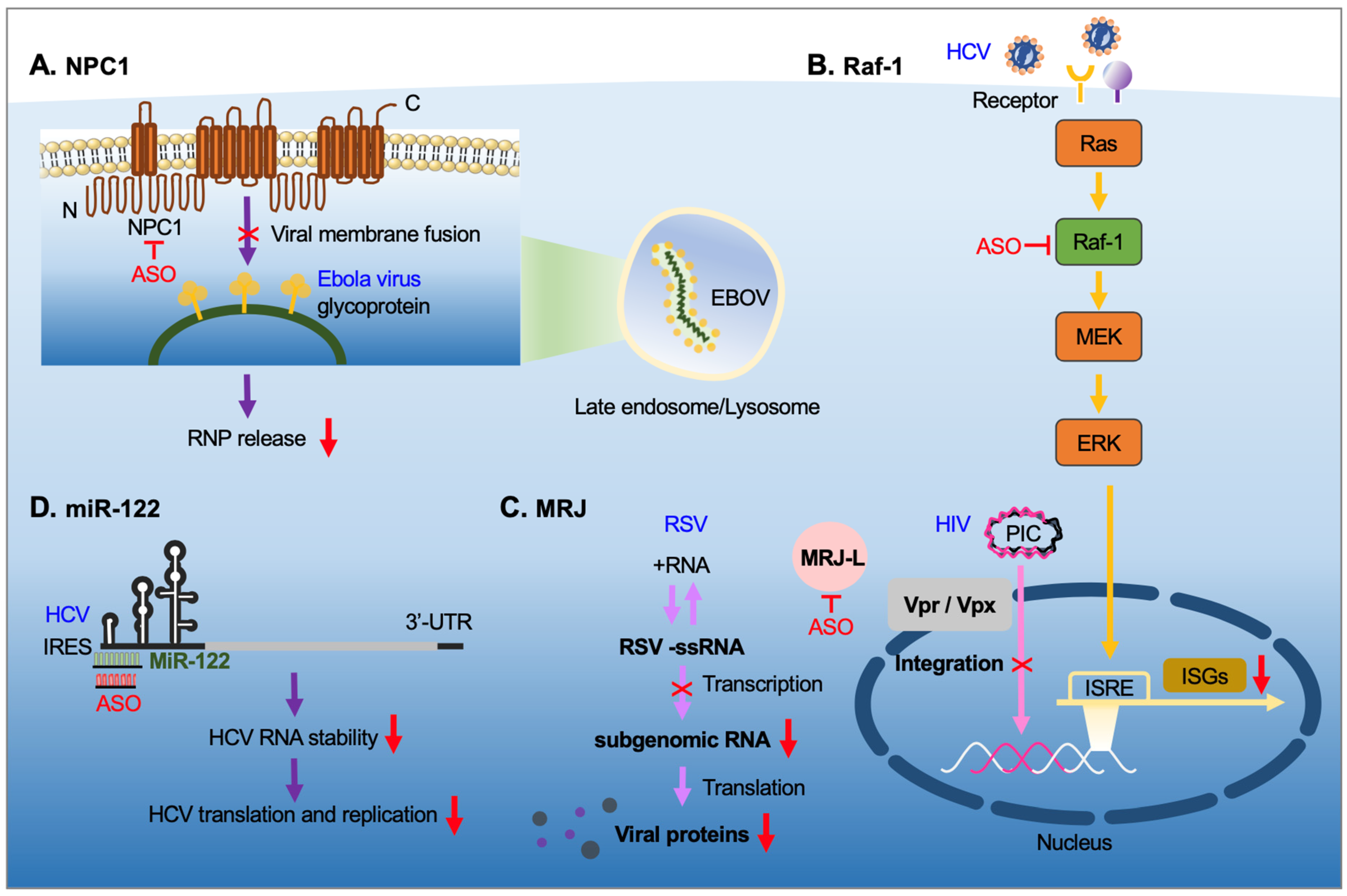Pharmaceutics 13 02015 g004 550