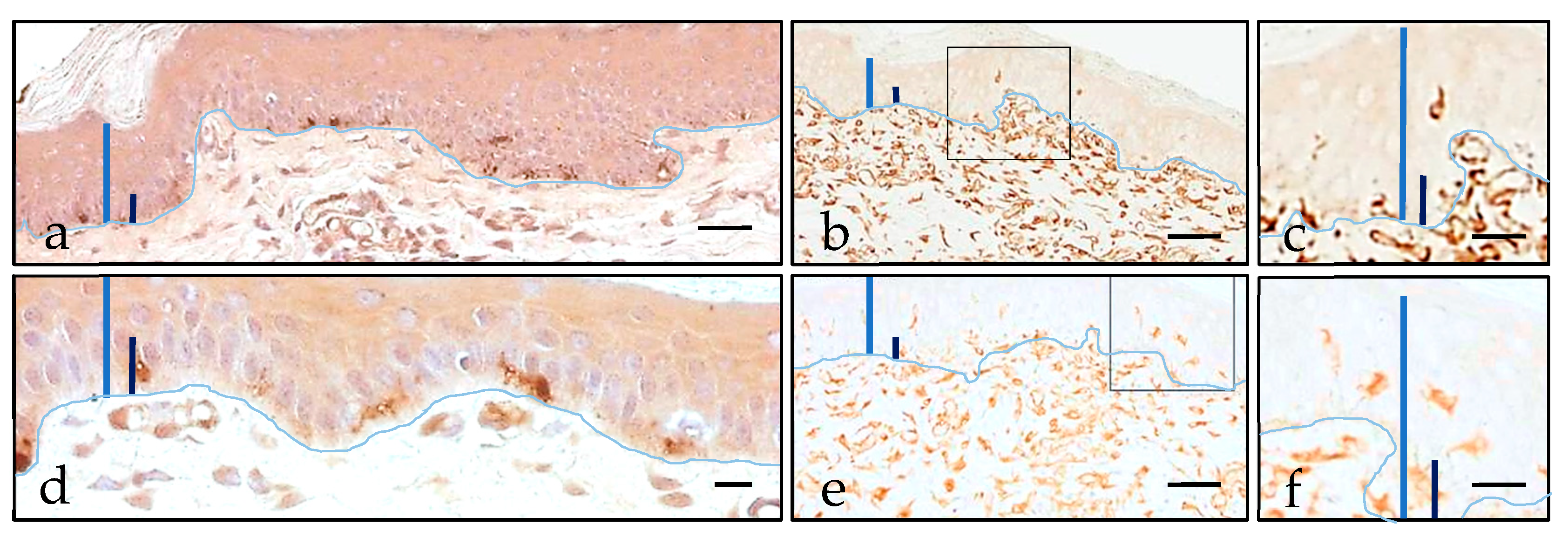 Pharmaceutics 13 02016 g005