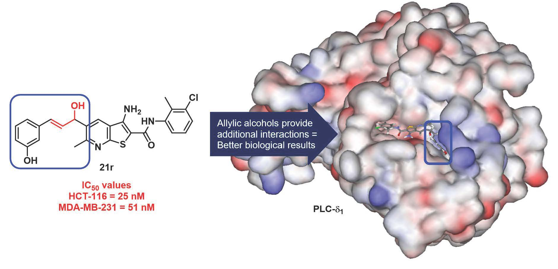 Pharmaceutics Free Full Text Tethered Aryl Groups Increase The Activity Of Anti Proliferative Thieno 2 3 B Pyridines By Targeting A Lipophilic Region In The Active Site Of Pi Plc