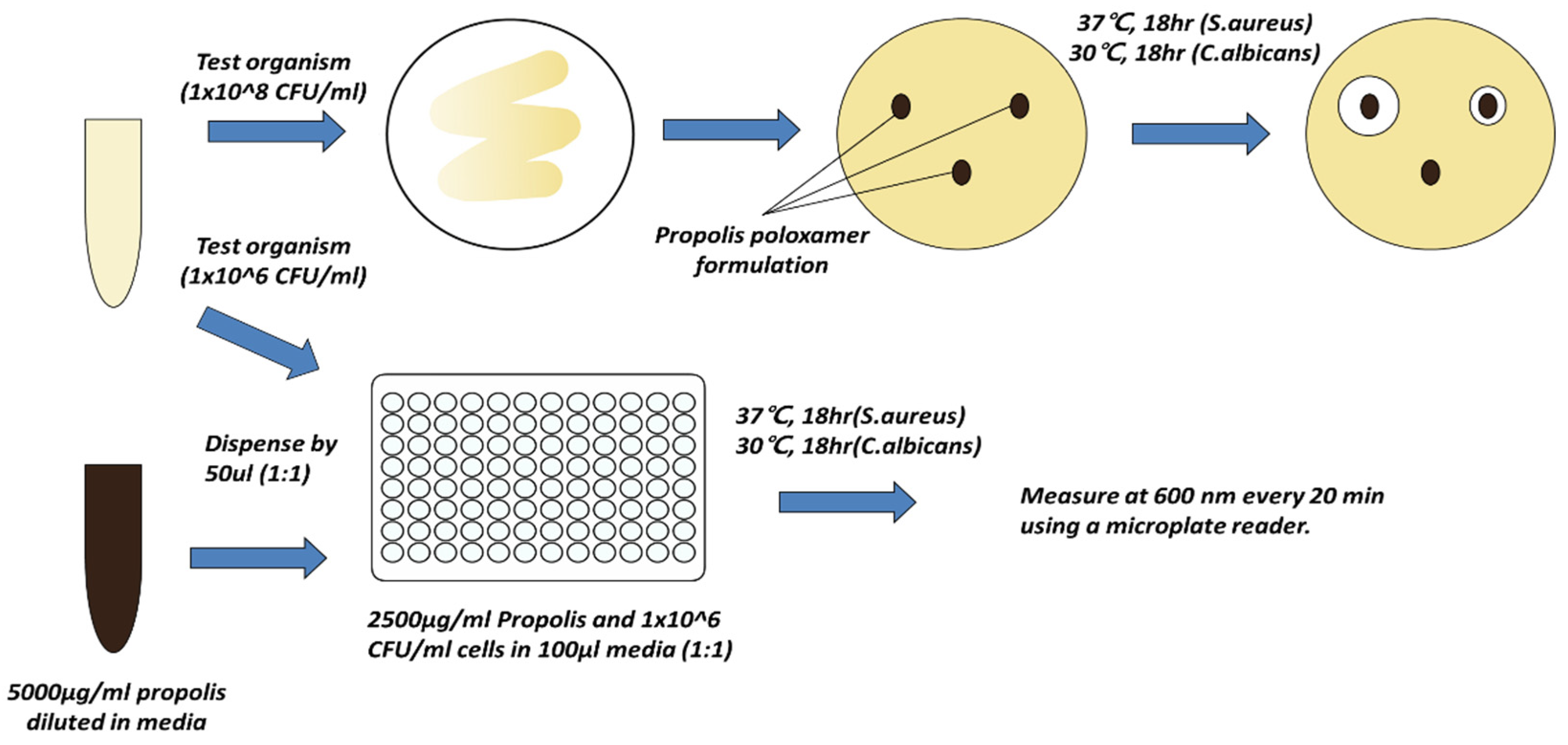 Pharmaceutics 13 02021 sch001 550