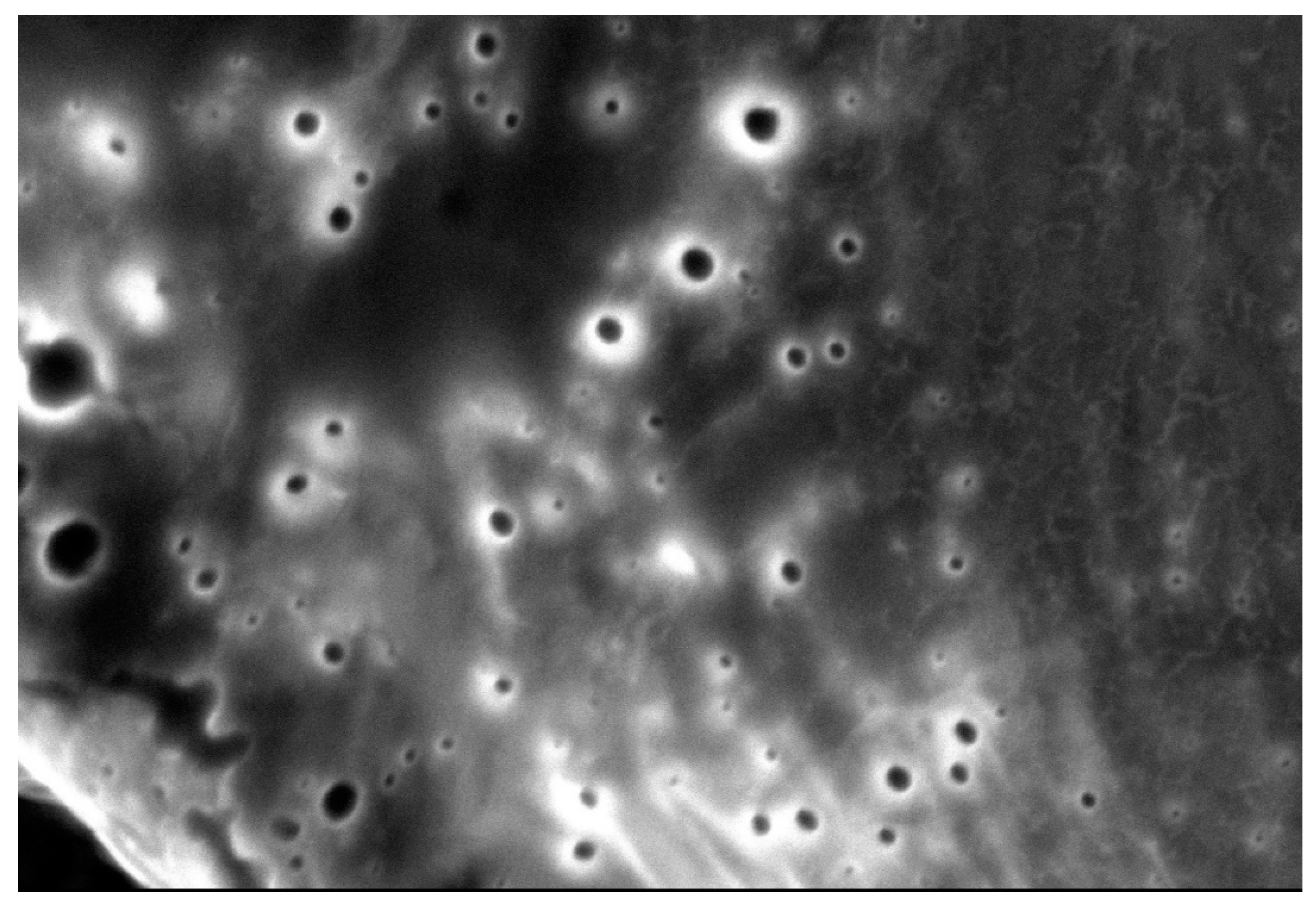 Pharmaceutics 13 02023 g011 550