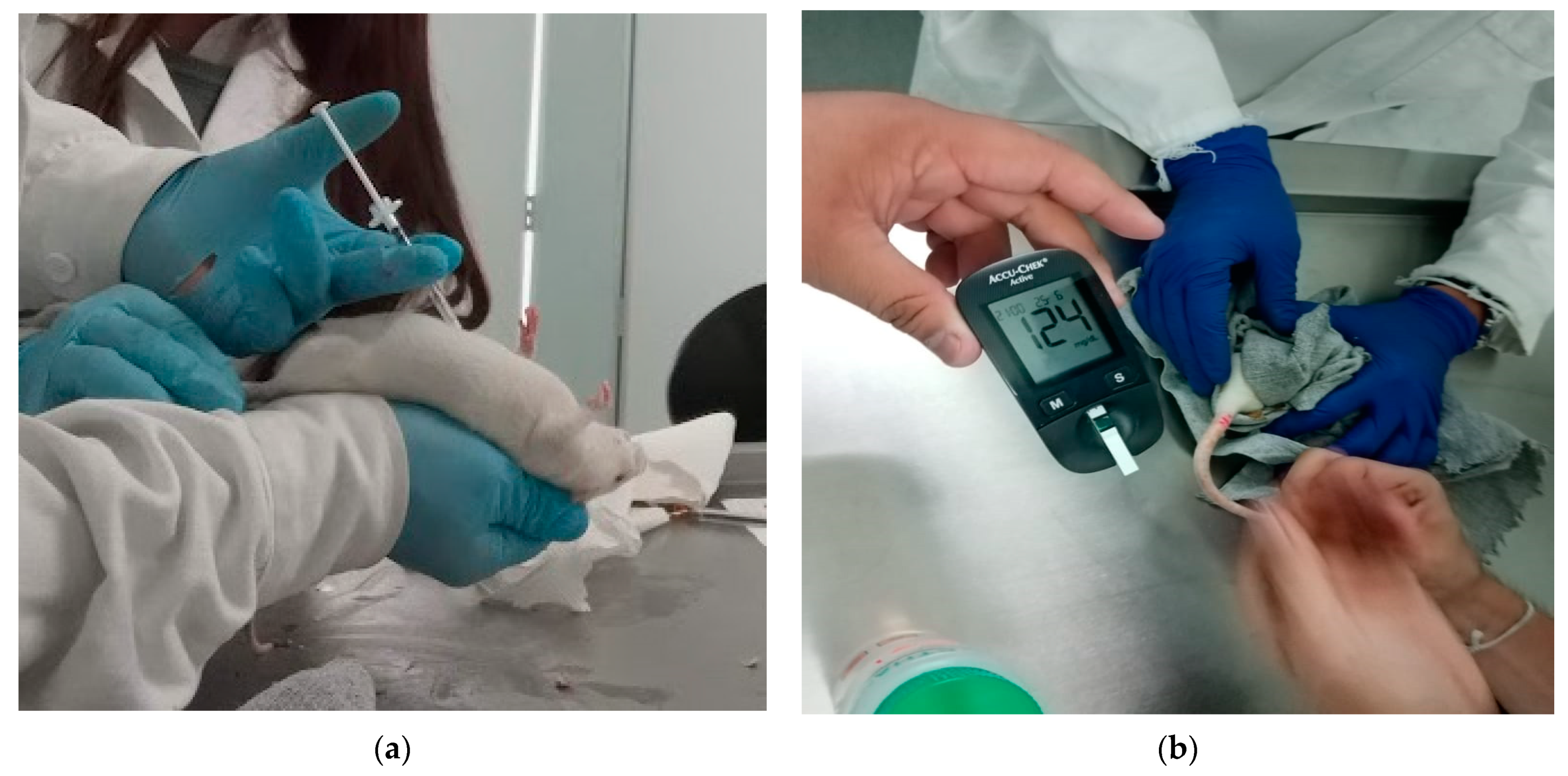 Pharmaceutics 13 02023 g014 550