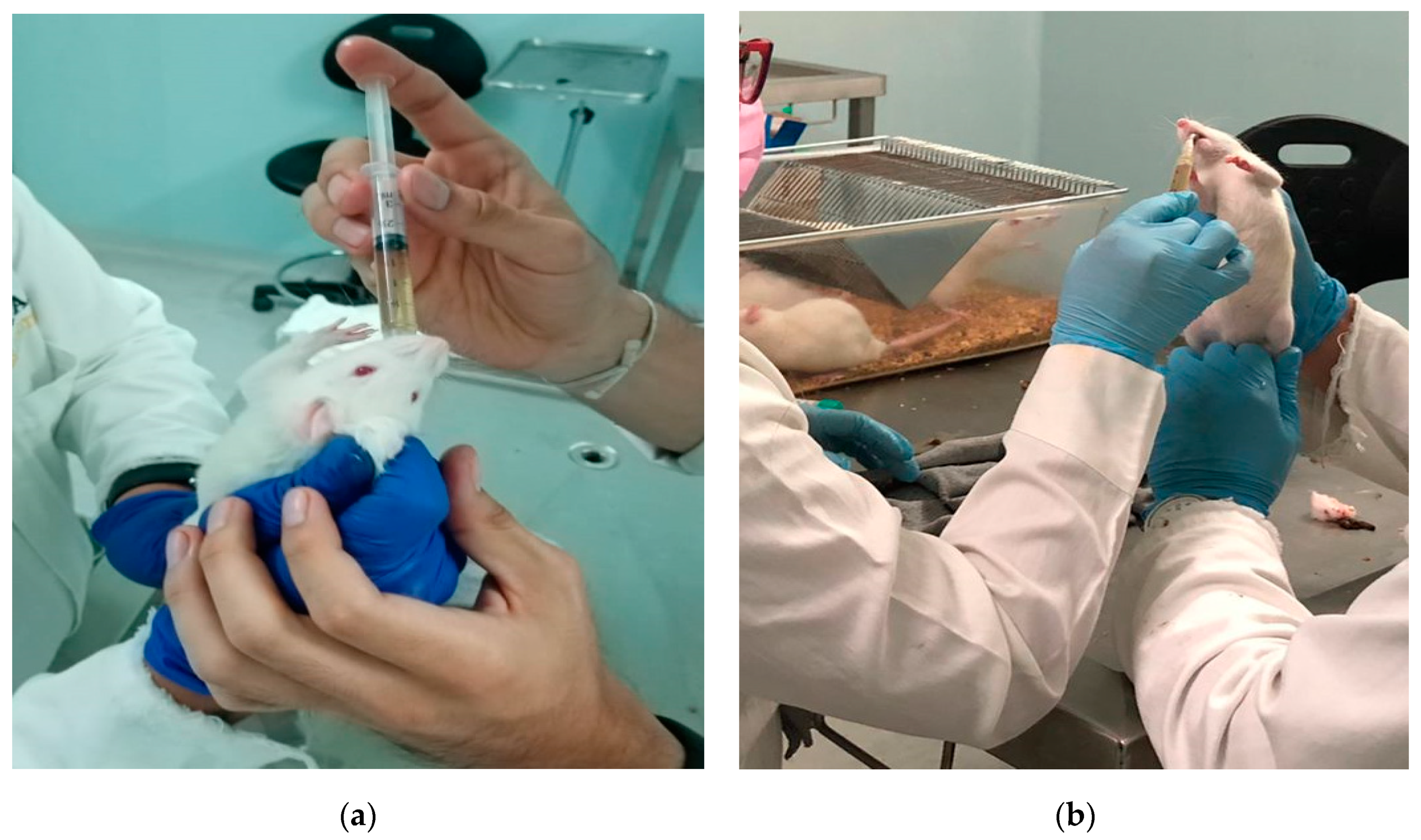 Pharmaceutics 13 02023 g016 550