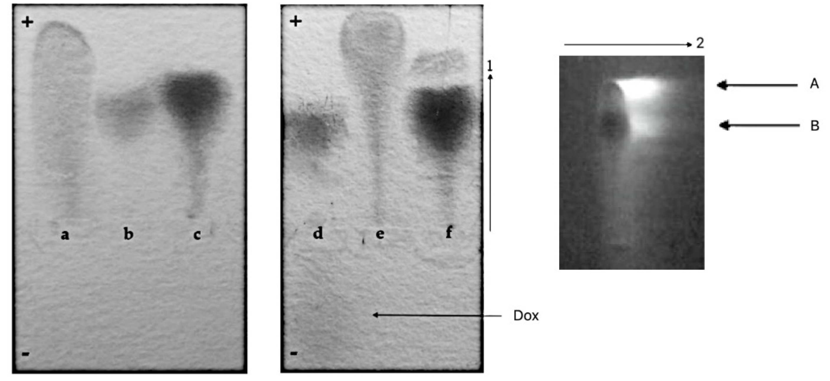 Pharmaceutics 13 02027 g004 550