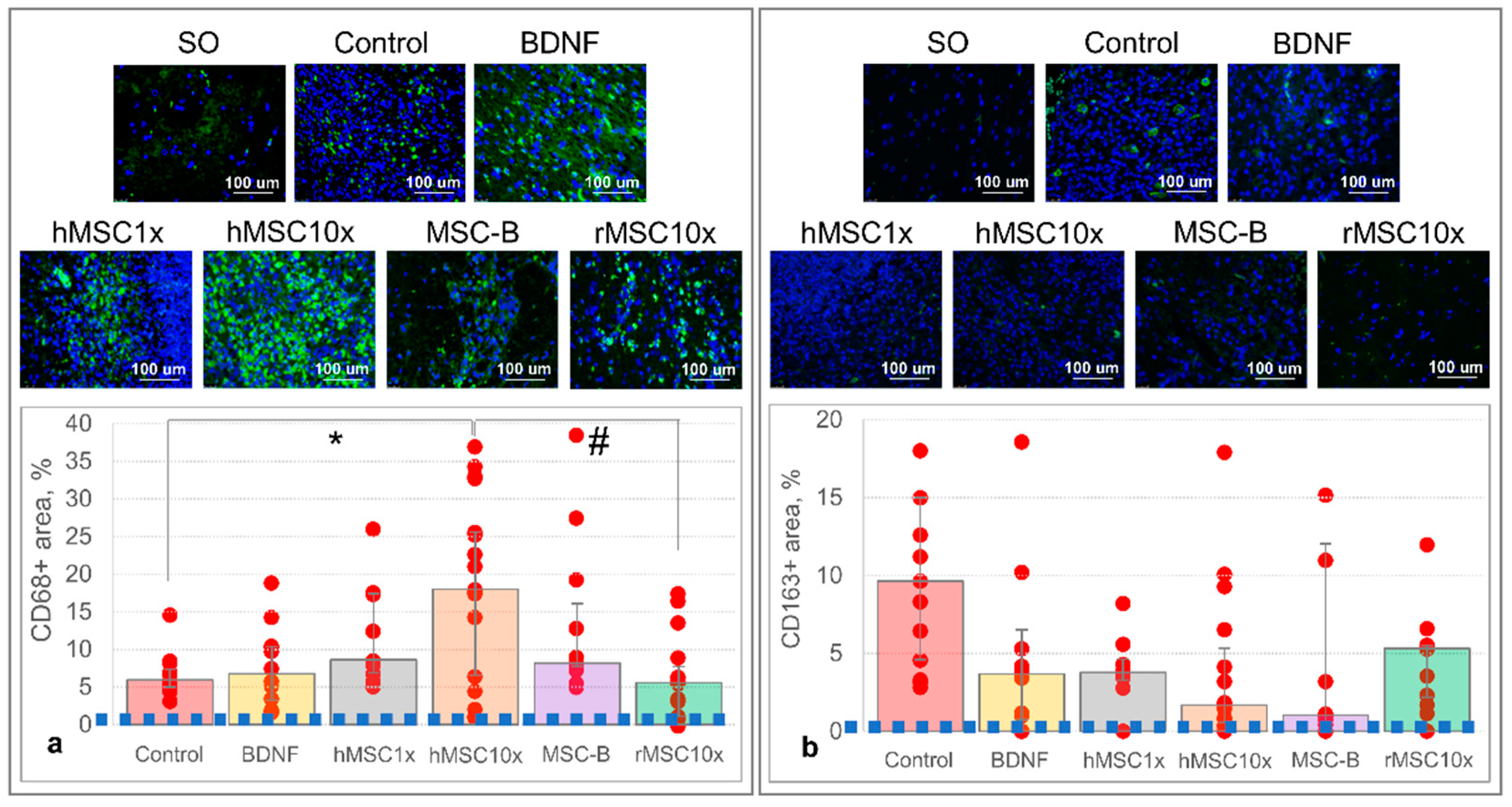 Pharmaceutics 13 02031 g005 550