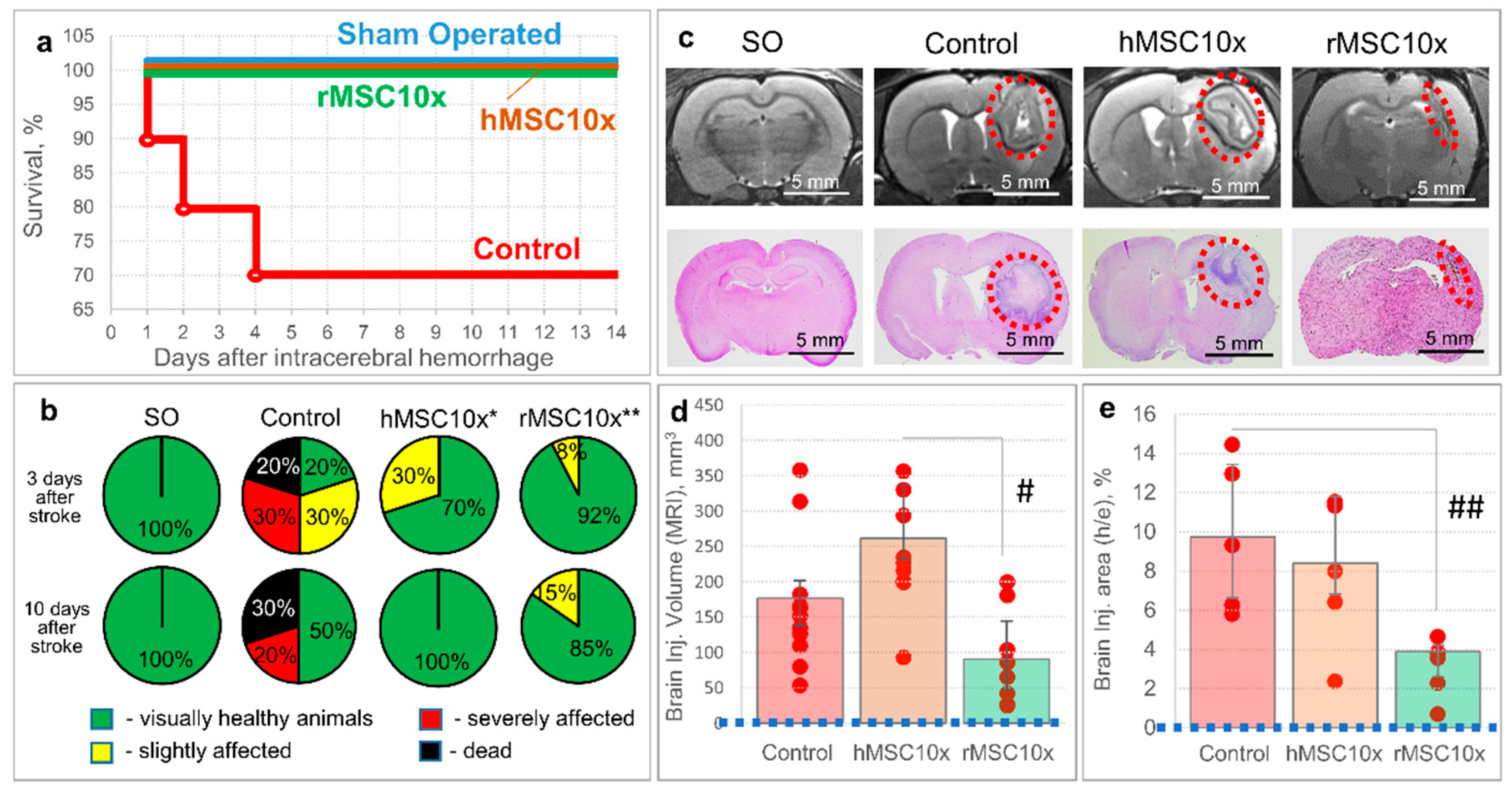 Pharmaceutics 13 02031 g006 550