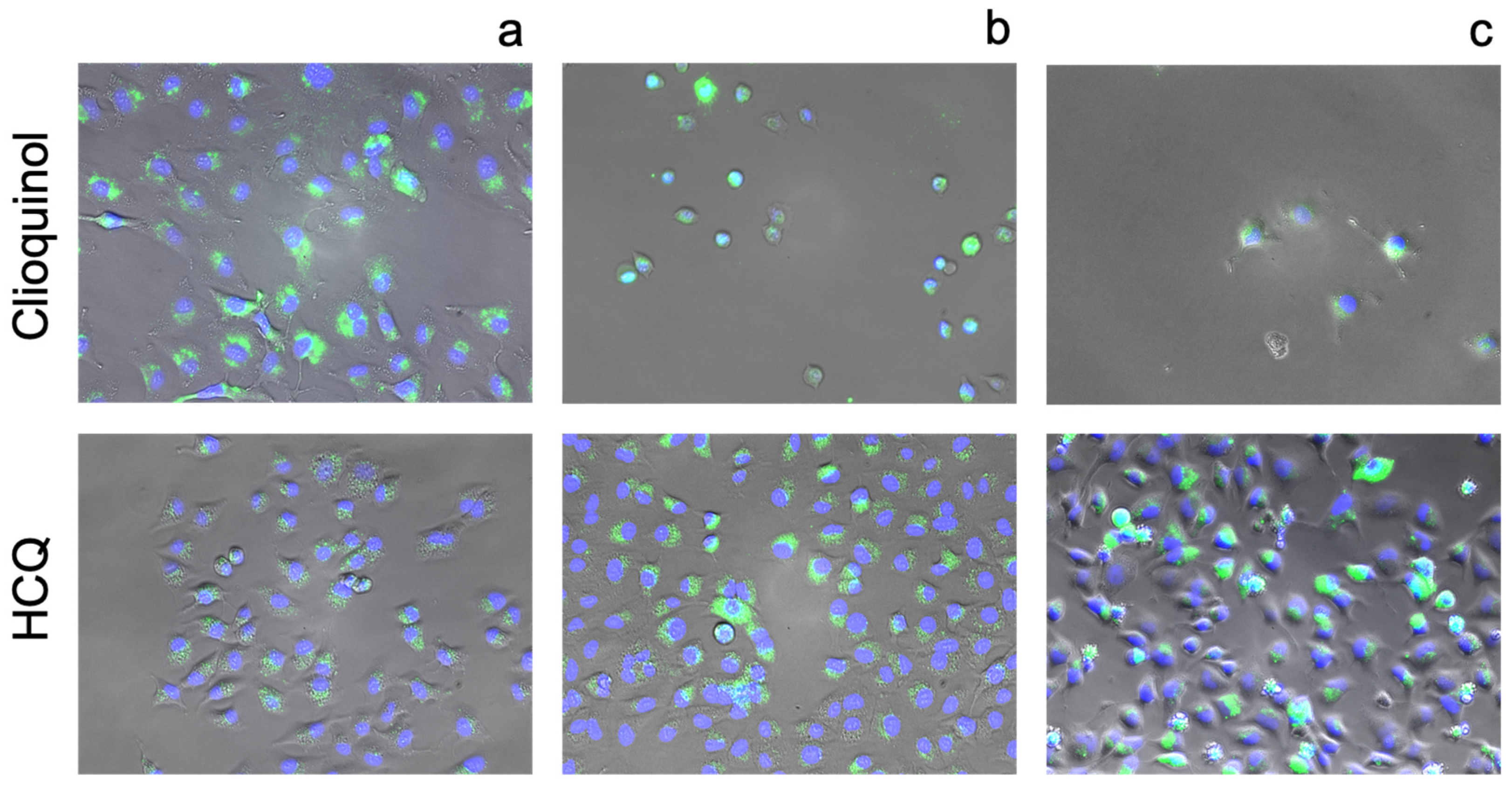 Pharmaceutics 13 02032 g012