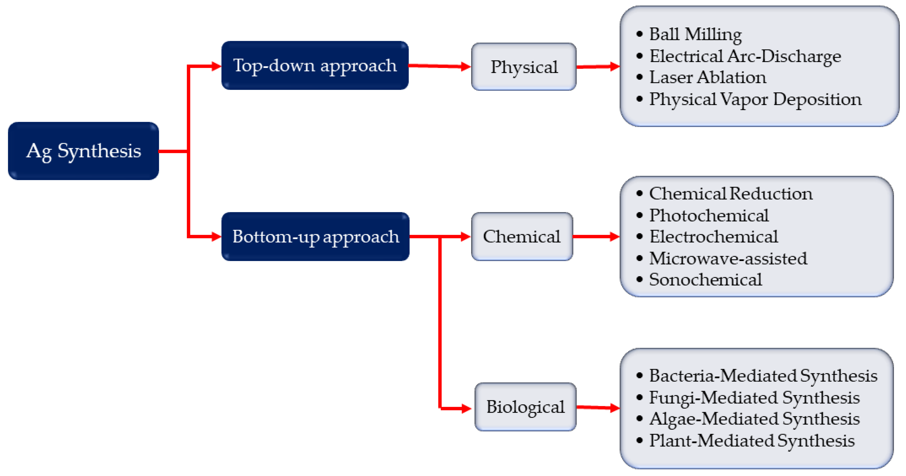 Pharmaceutics 13 02034 g002