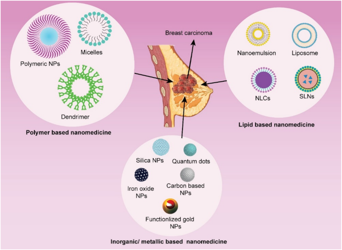 Pharmaceutics 13 02039 g003