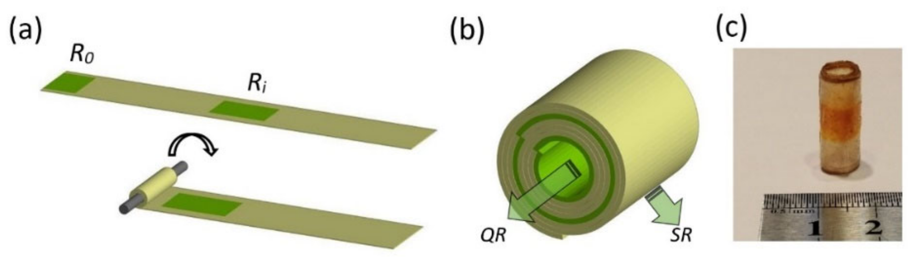Pharmaceutics 13 02040 g001 Pharmaceutics 13 02040 g001