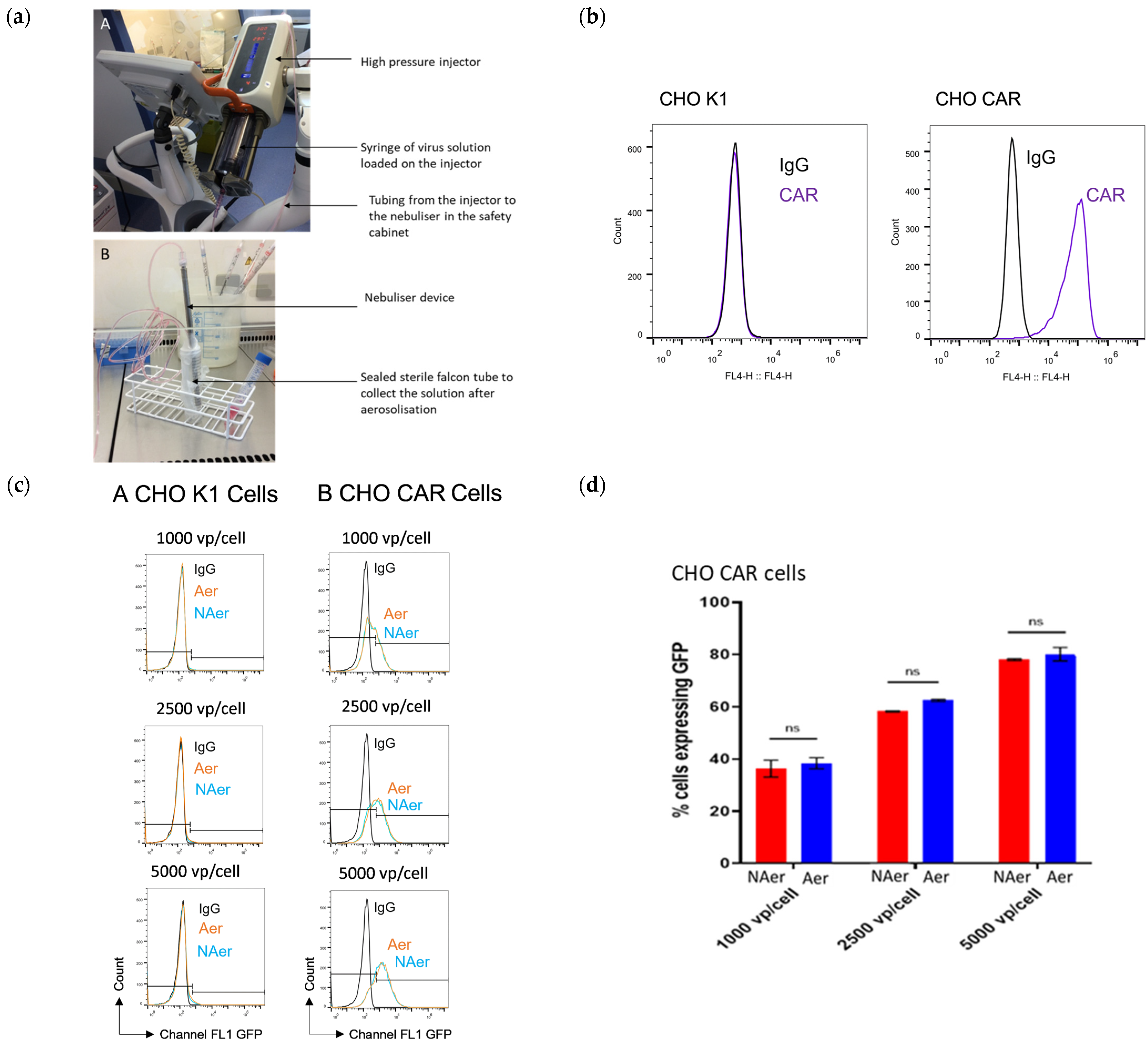 Pharmaceutics 13 02043 g001 550