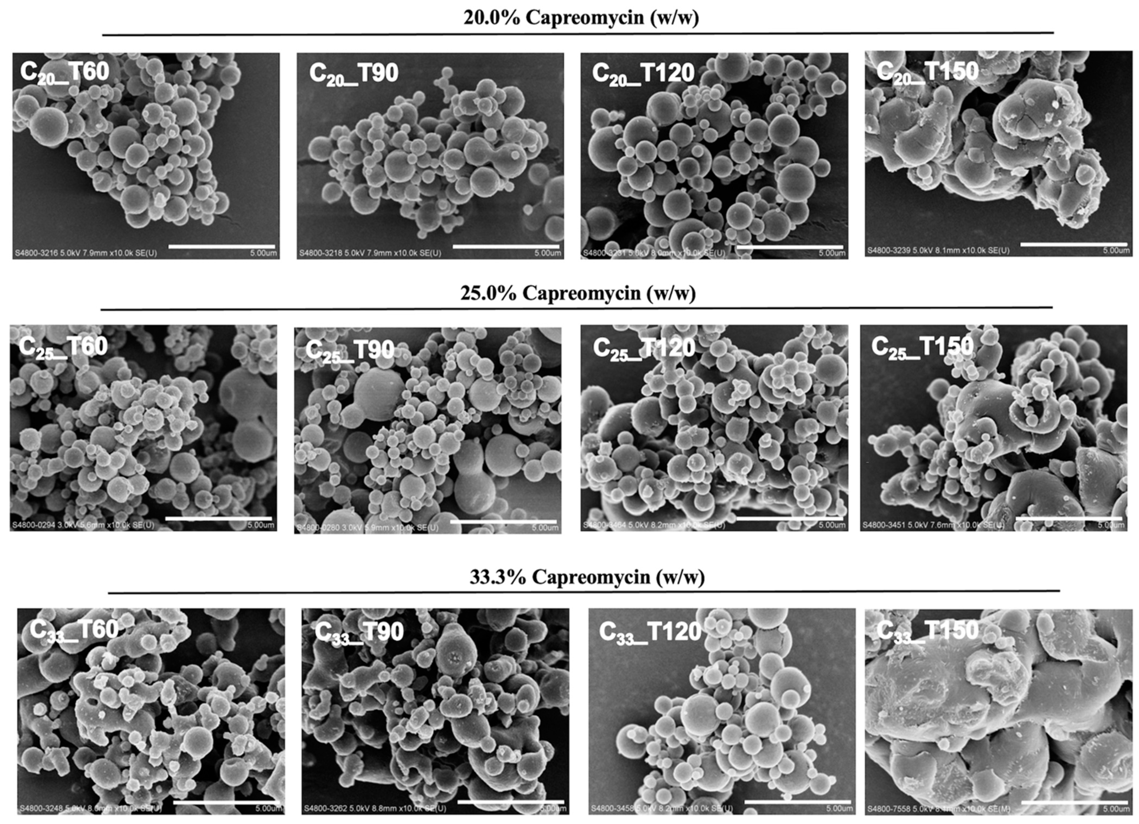 Pharmaceutics 13 02044 g001 550