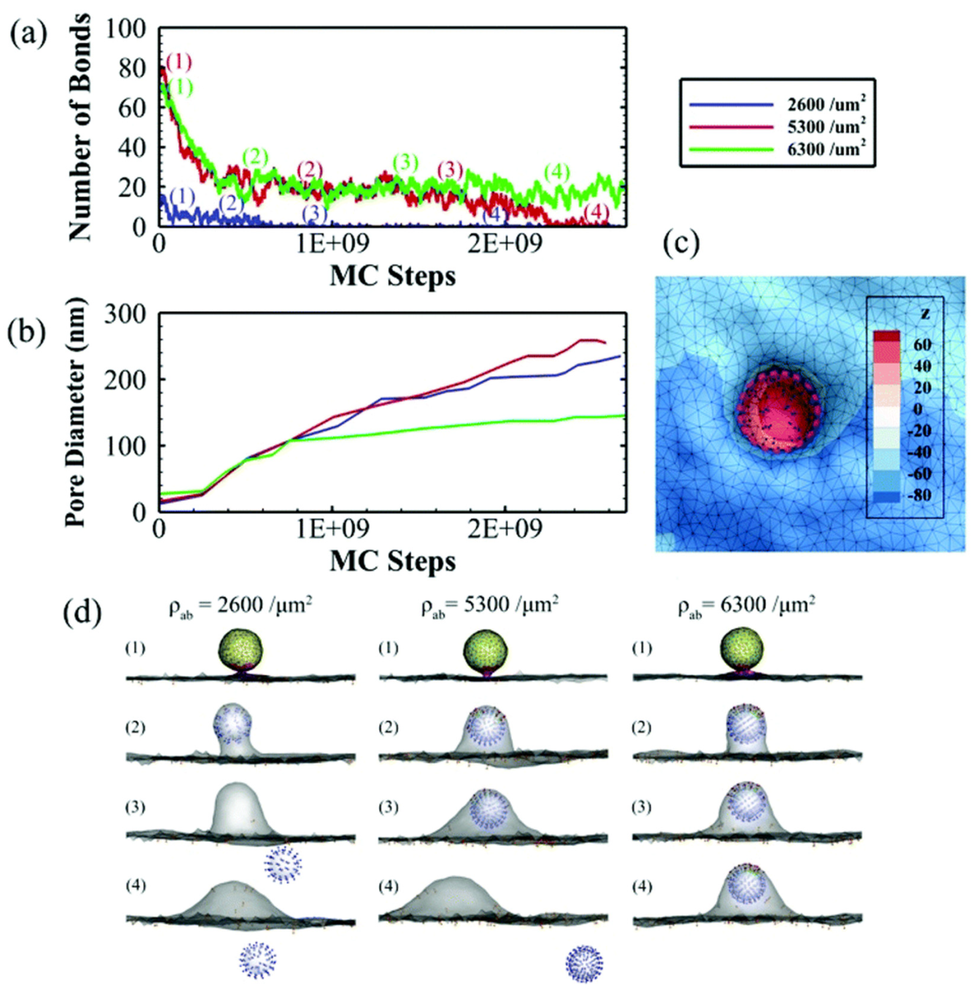 Pharmaceutics 13 02045 g006 550