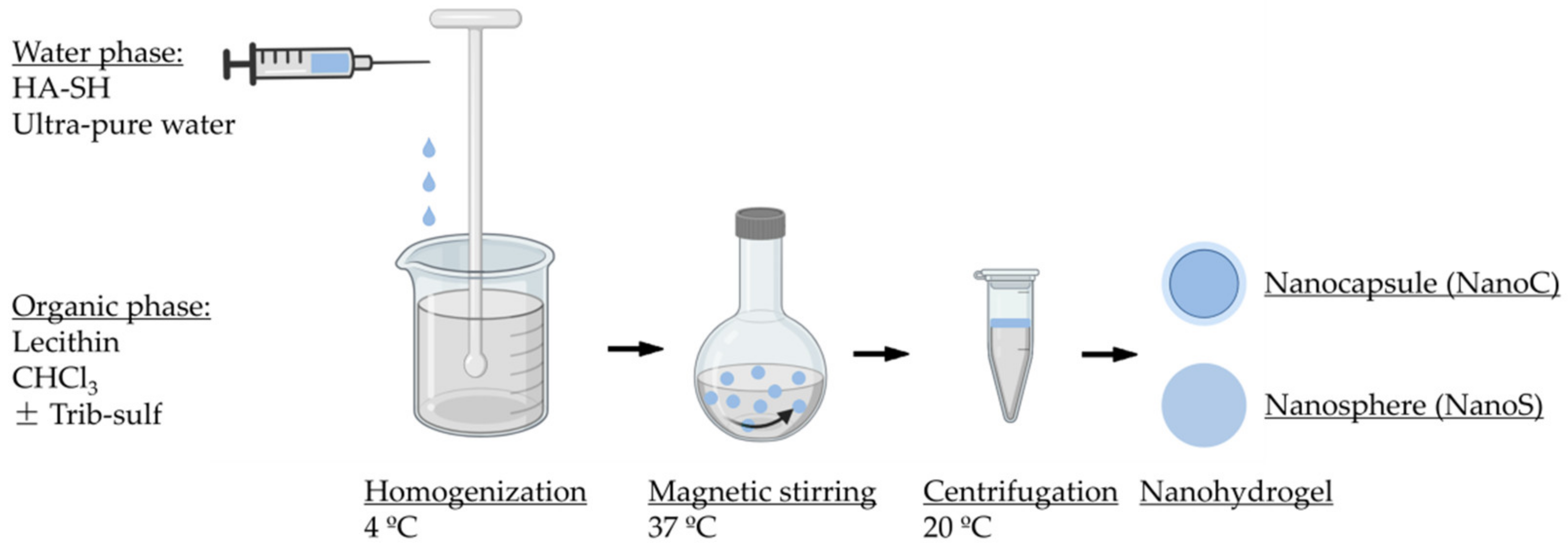 Pharmaceutics 13 02048 g001