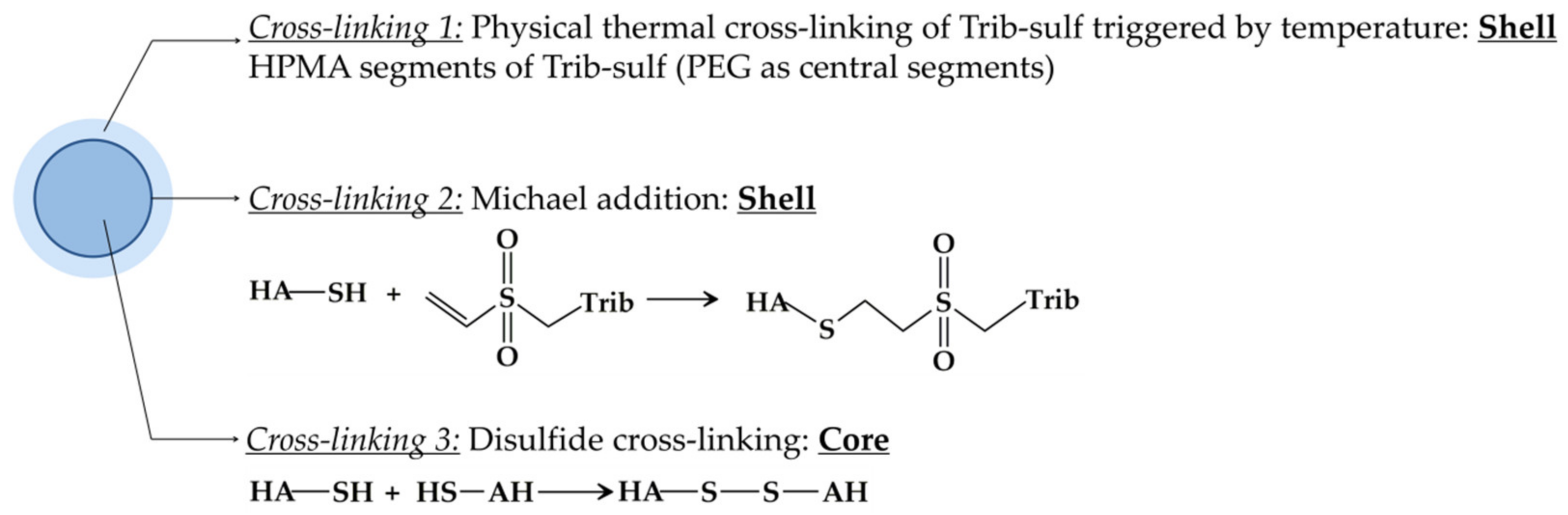 Pharmaceutics 13 02048 g003
