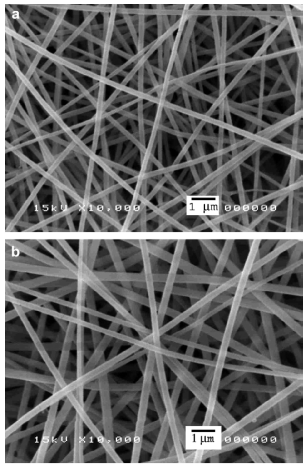 Pharmaceutics 13 02054 g002 Pharmaceutics 13 02054 g002