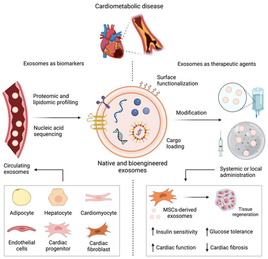 Potential Applications and Functional Roles of Exosomes in