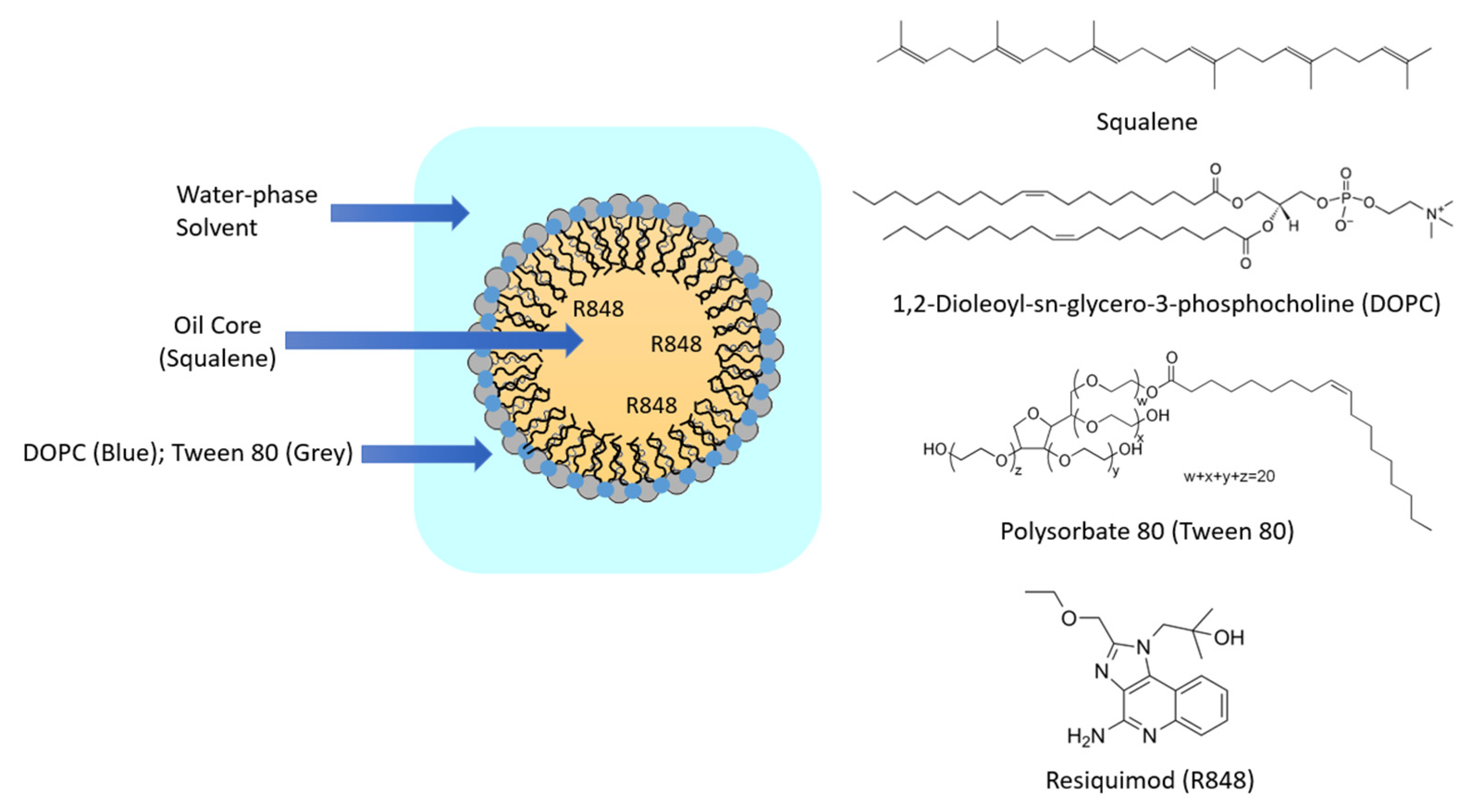 Pharmaceutics 13 02060 g001