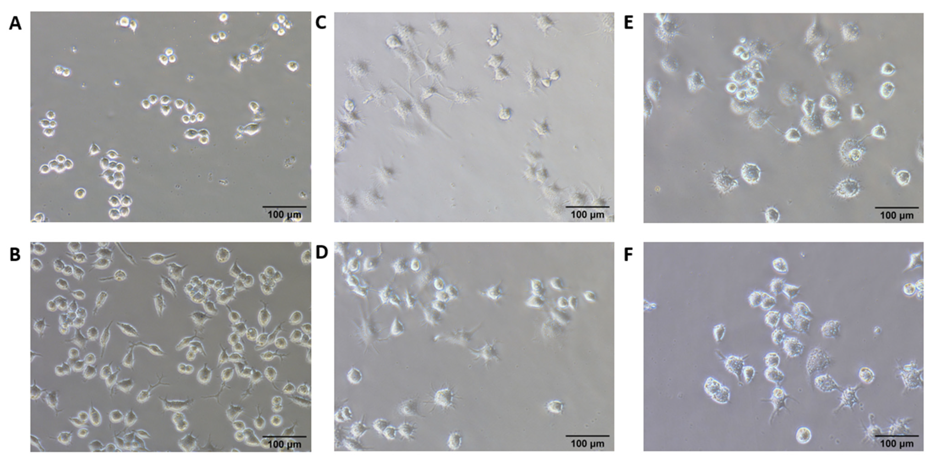 Pharmaceutics 13 02060 g003