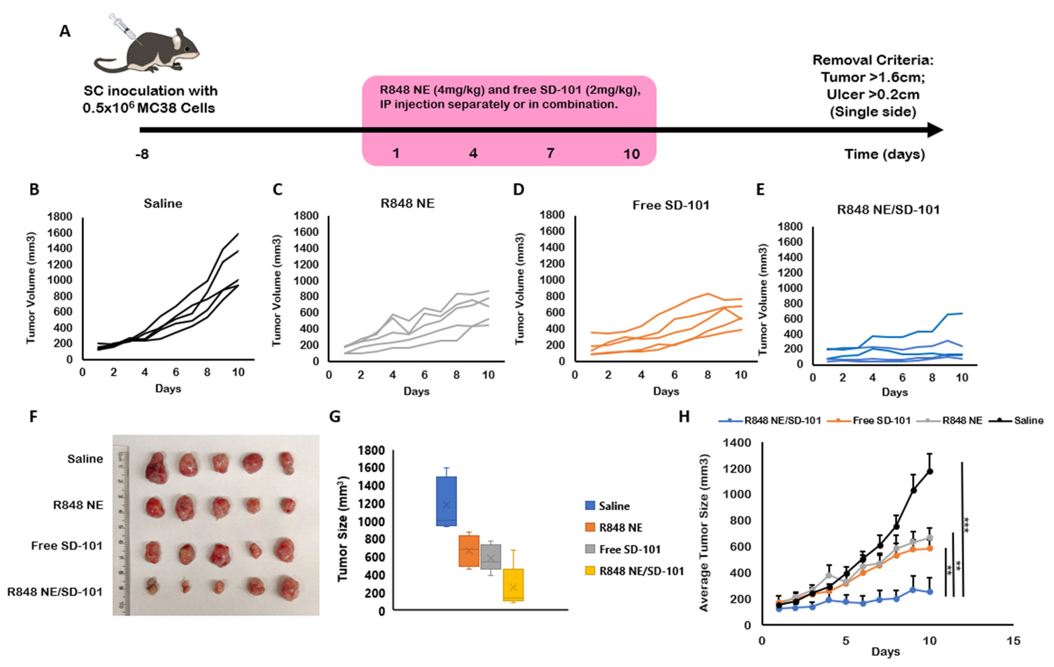 Pharmaceutics 13 02060 g005