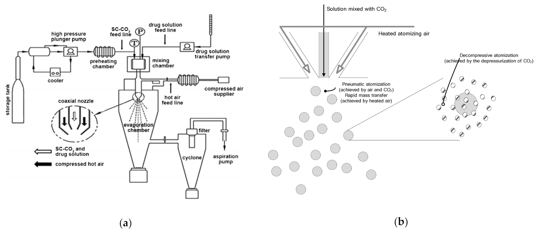 Pharmaceutics 13 02061 g001 Pharmaceutics 13 02061 g001