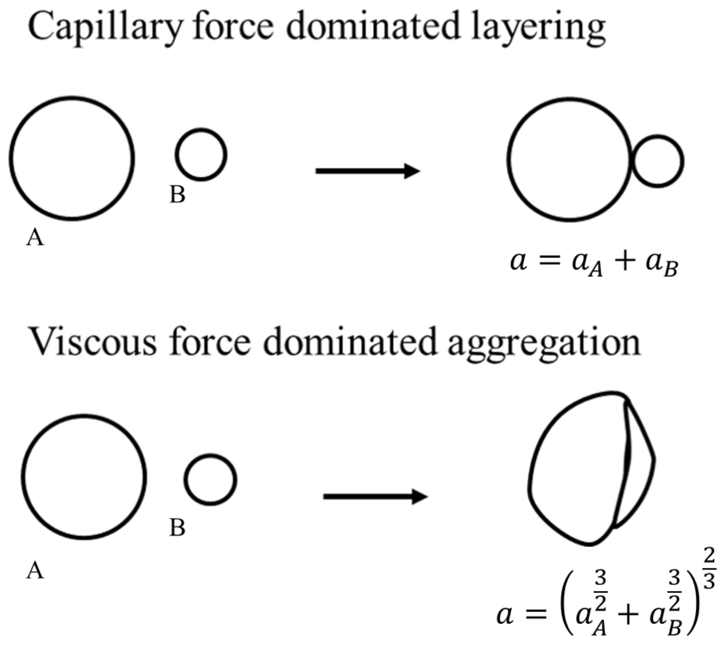 Pharmaceutics 13 02063 g003 550