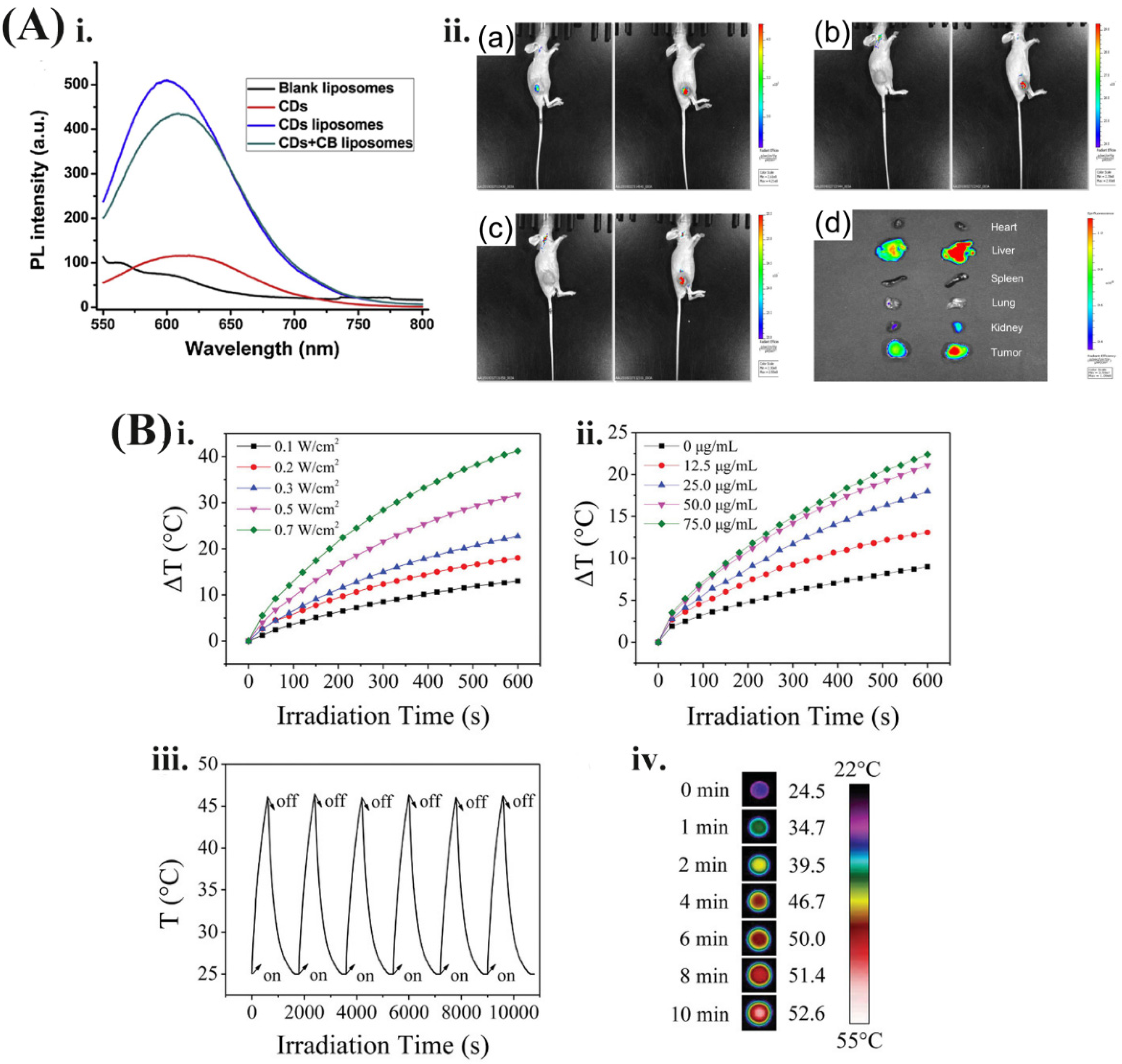 Pharmaceutics 13 02070 g002