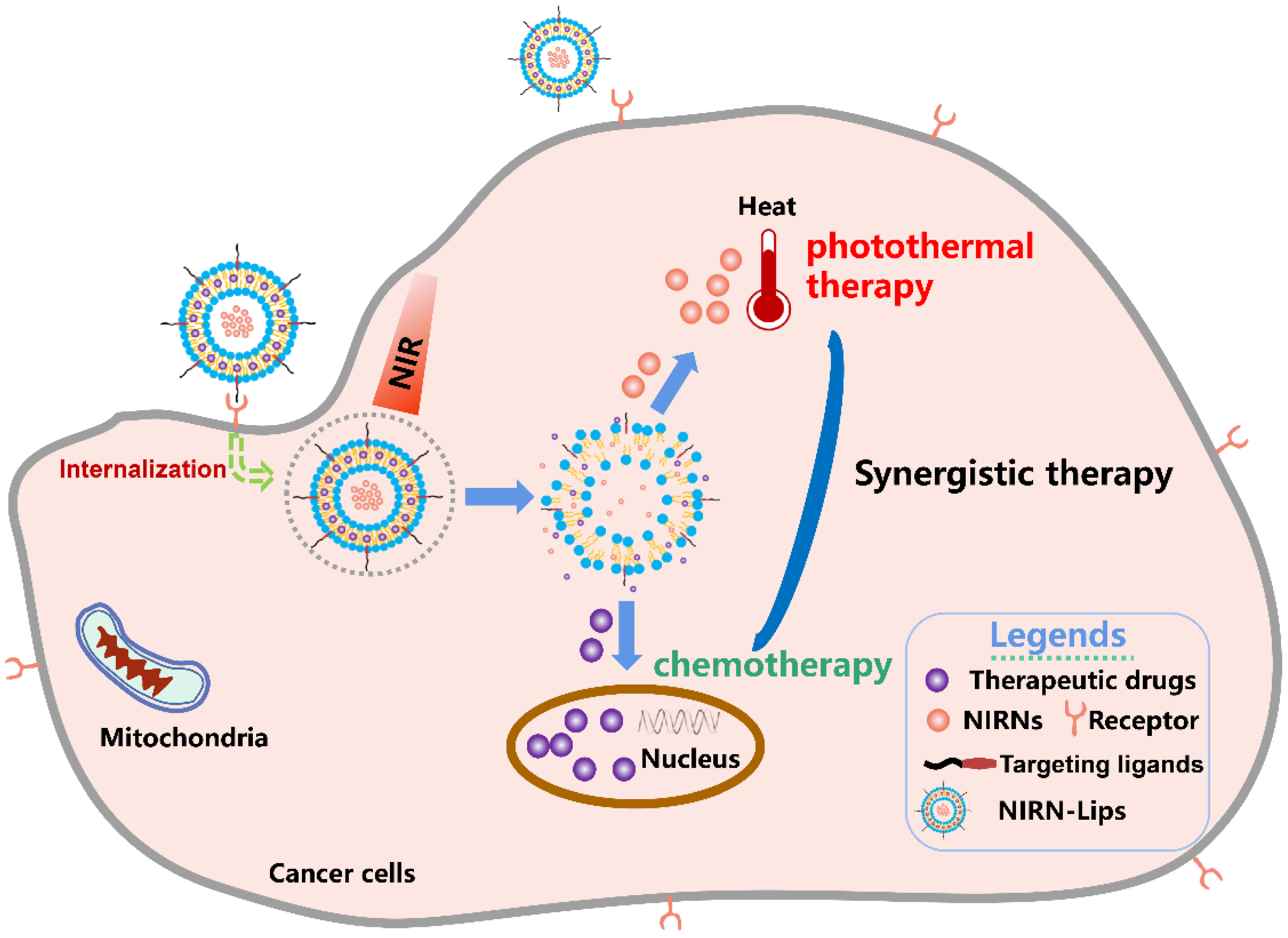 Pharmaceutics 13 02070 g005