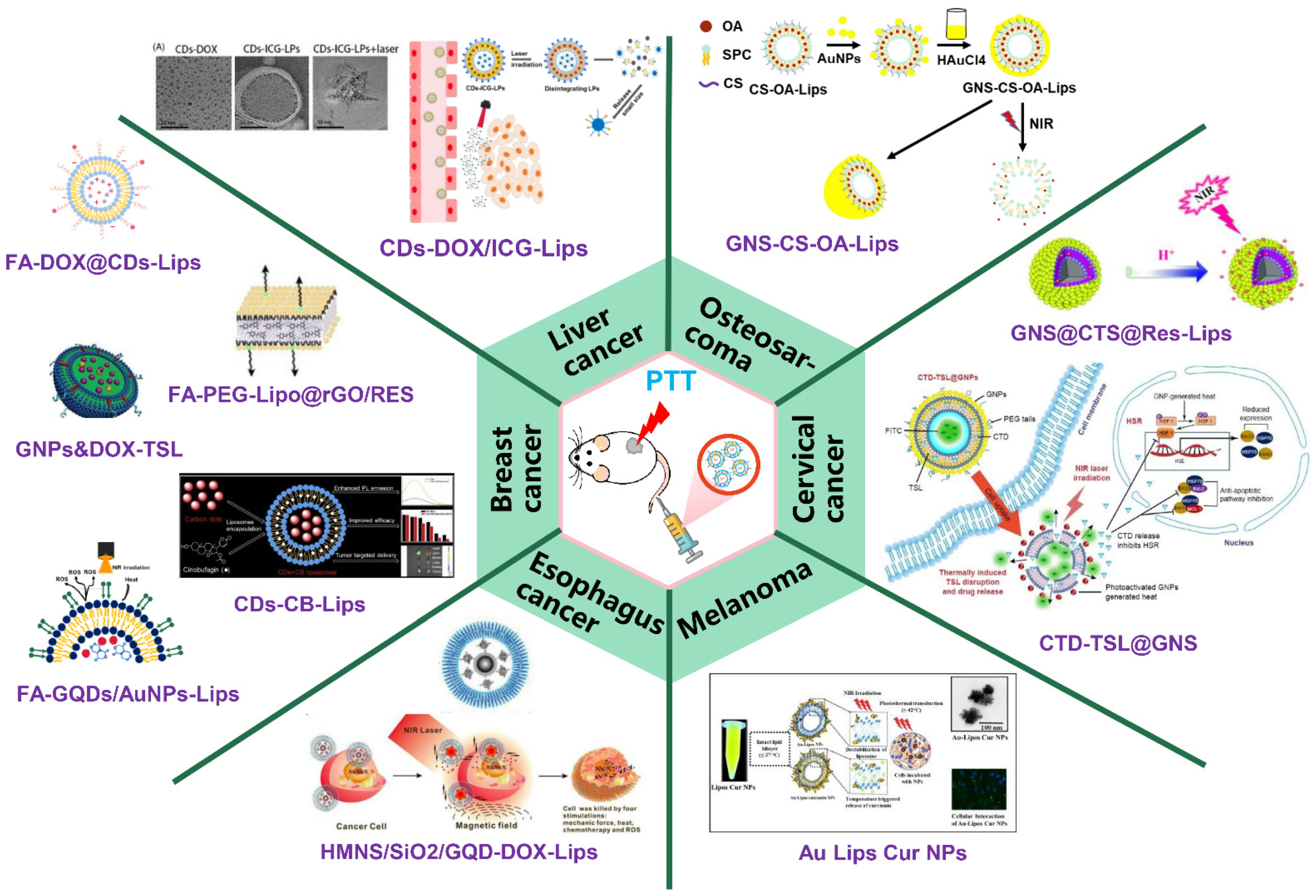 Pharmaceutics | Free Full-Text | Design and Application of Near 