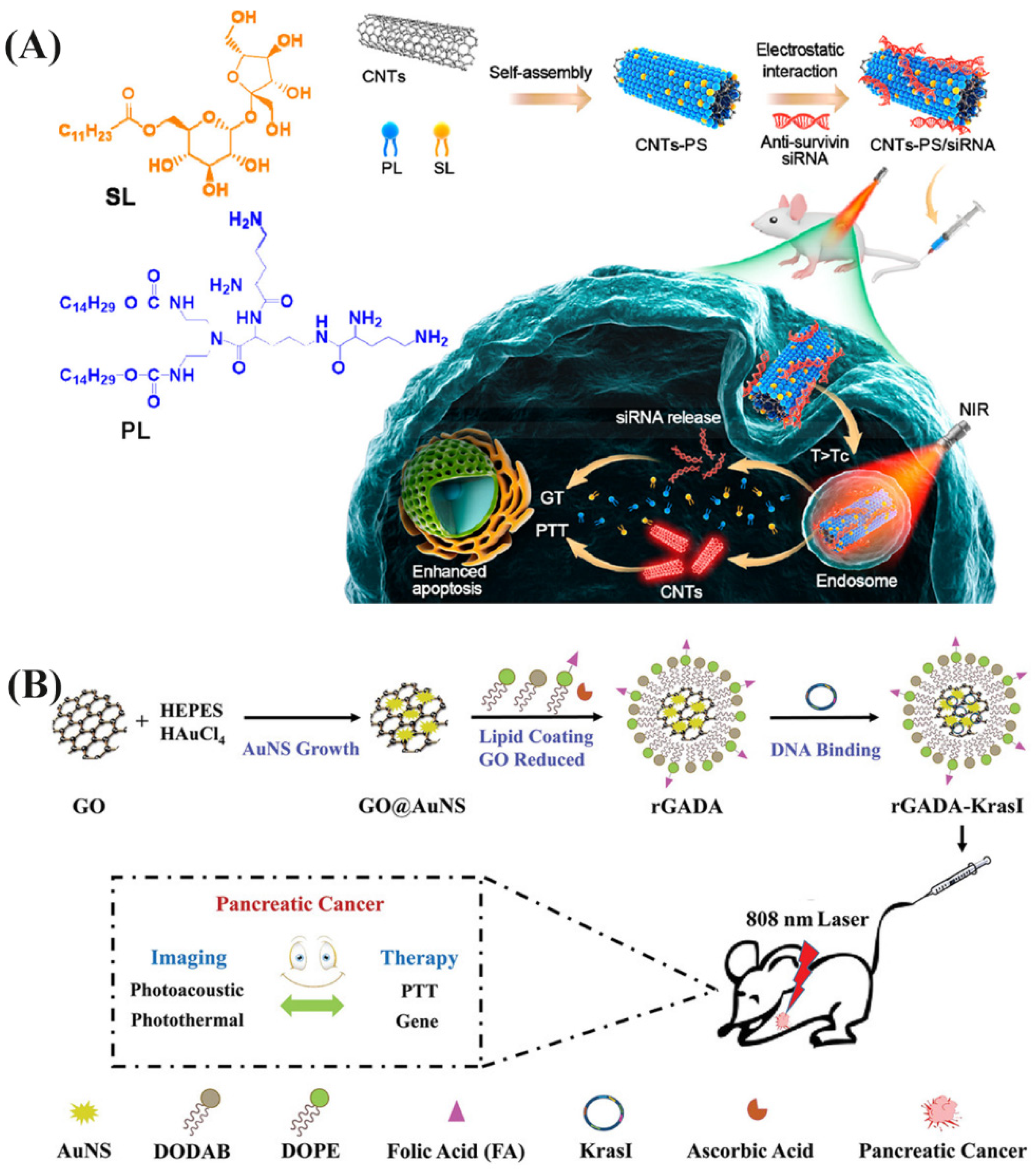 Pharmaceutics 13 02070 g007