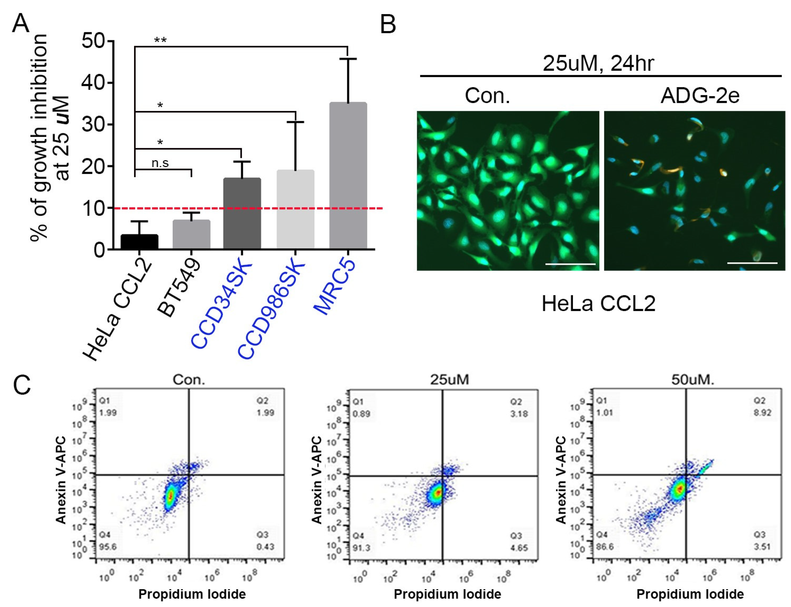 Pharmaceutics 13 02071 g001