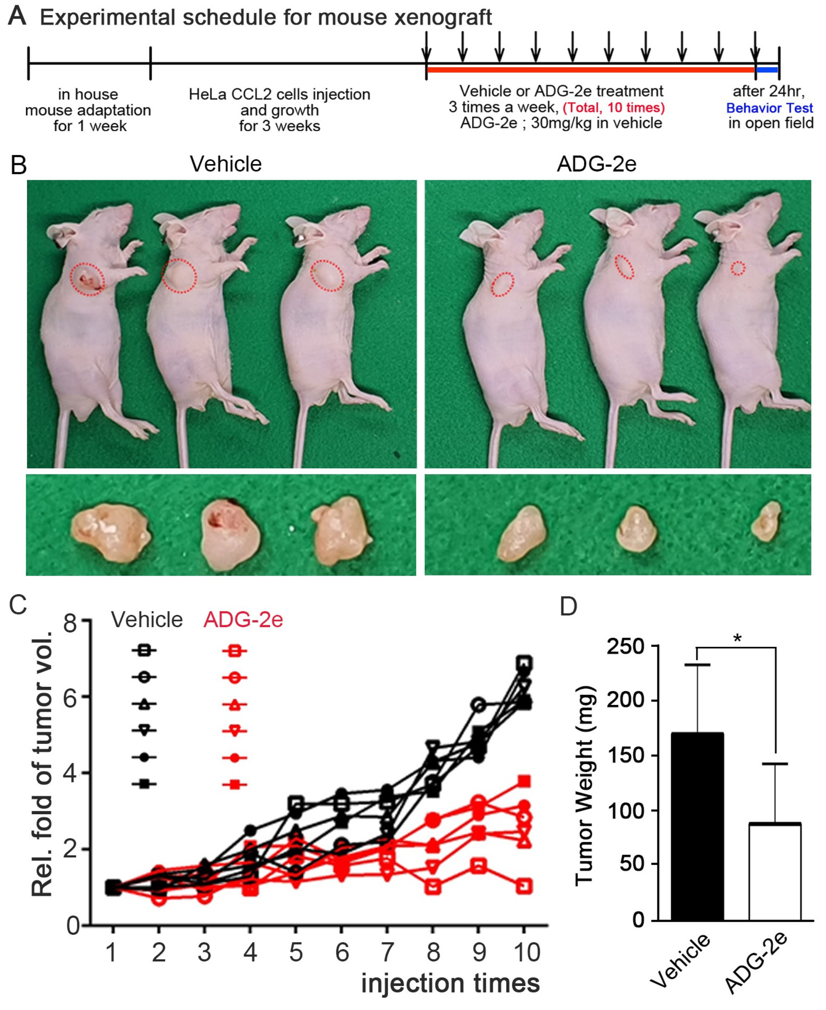 Pharmaceutics 13 02071 g005